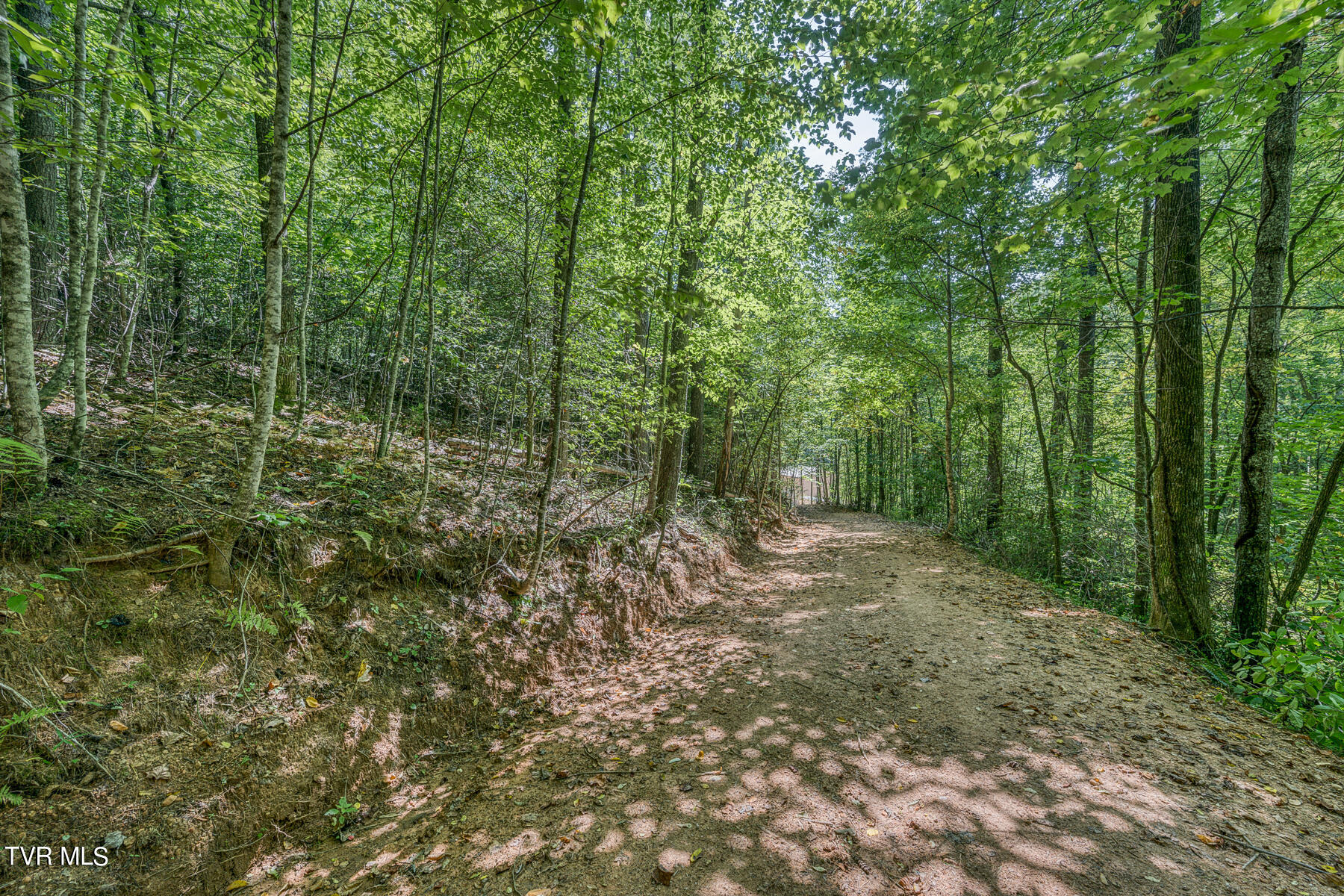 Waters Rd Road, Laurel Bloomery, Tennessee image 30