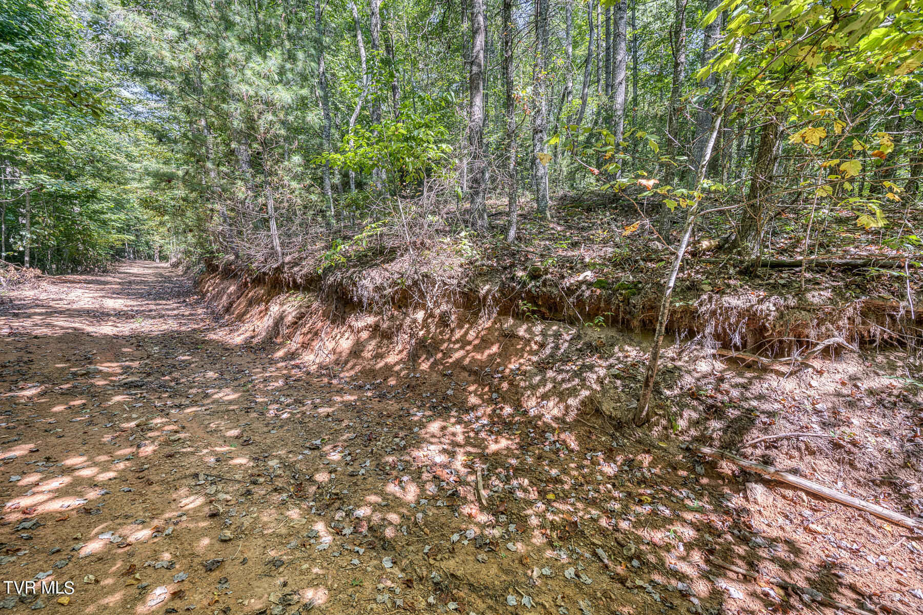Waters Rd Road, Laurel Bloomery, Tennessee image 27