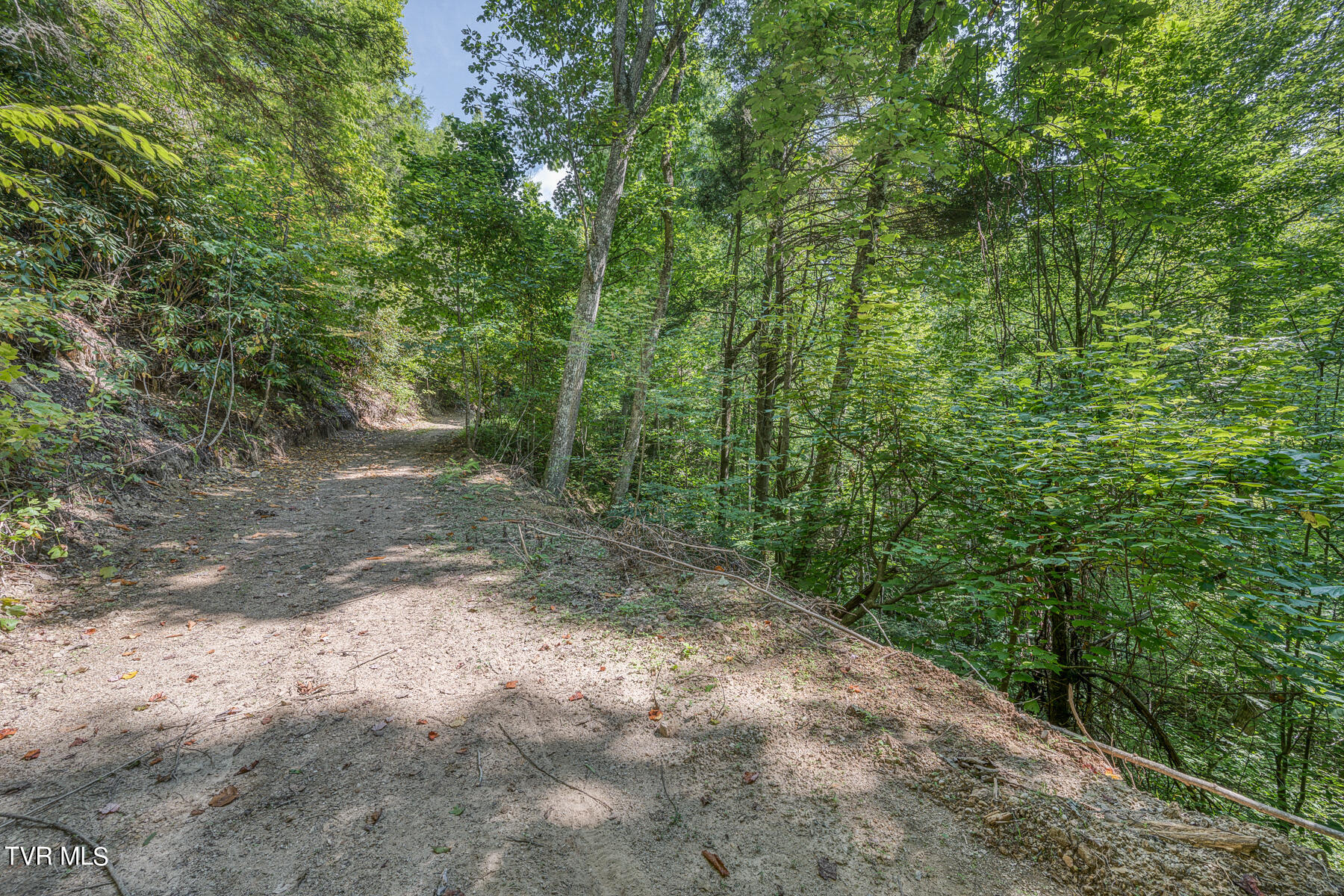 Waters Rd Road, Laurel Bloomery, Tennessee image 23