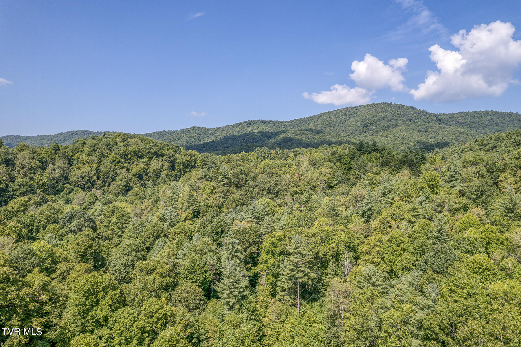 Waters Rd Road, Laurel Bloomery, Tennessee image 6