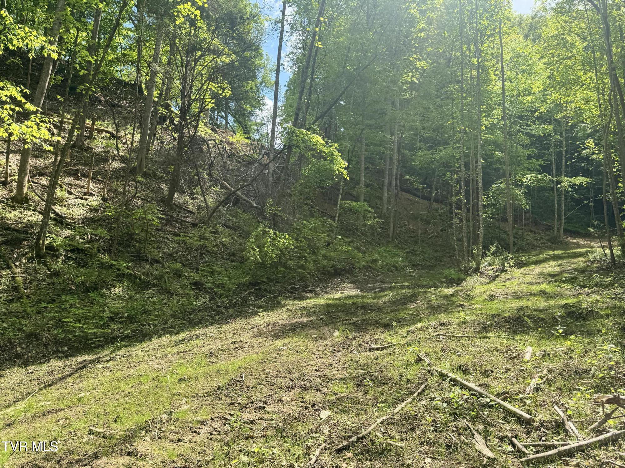 4090 Old Asheville Highway, Flag Pond, Tennessee image 34