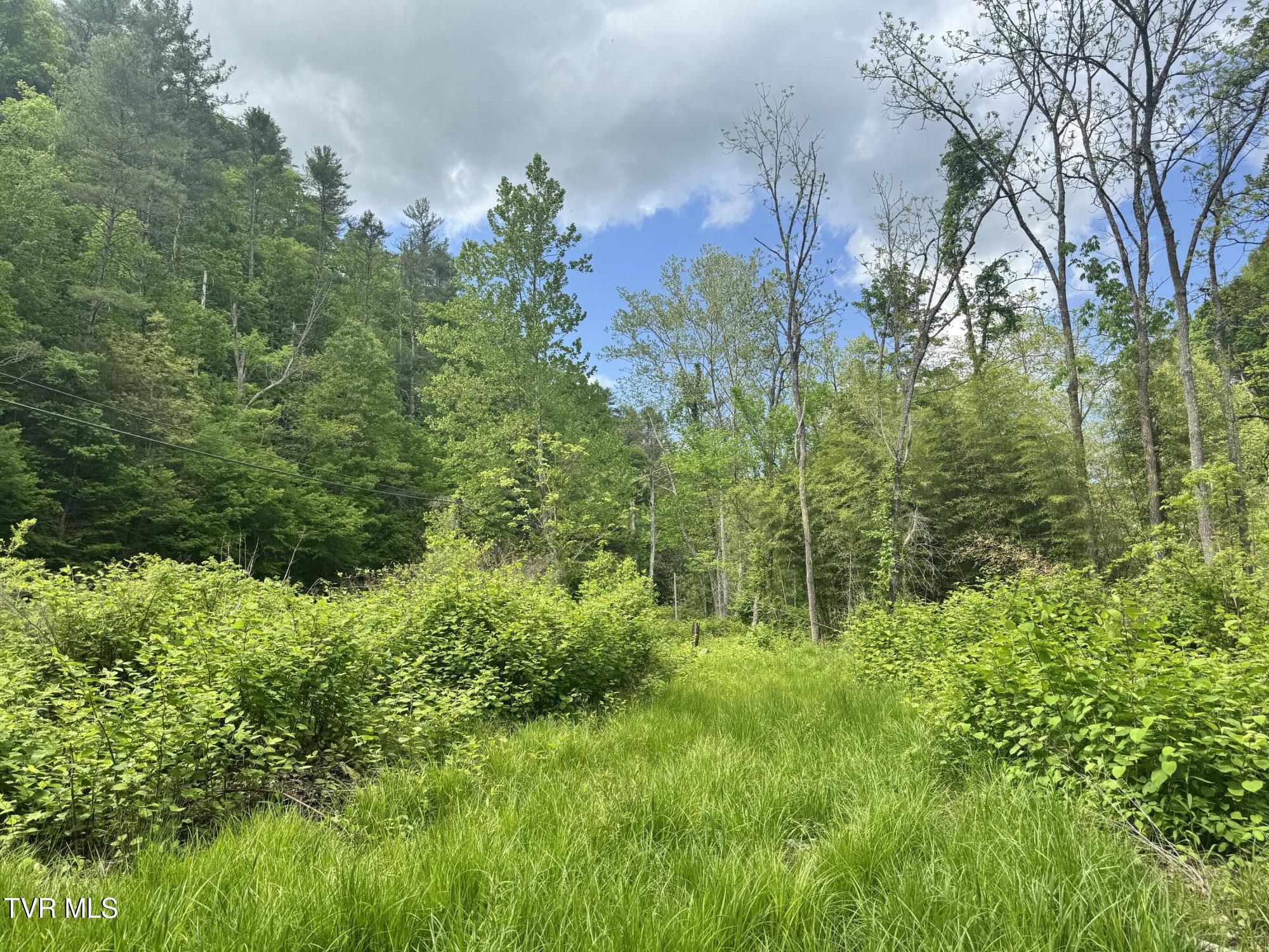4090 Old Asheville Highway, Flag Pond, Tennessee image 42