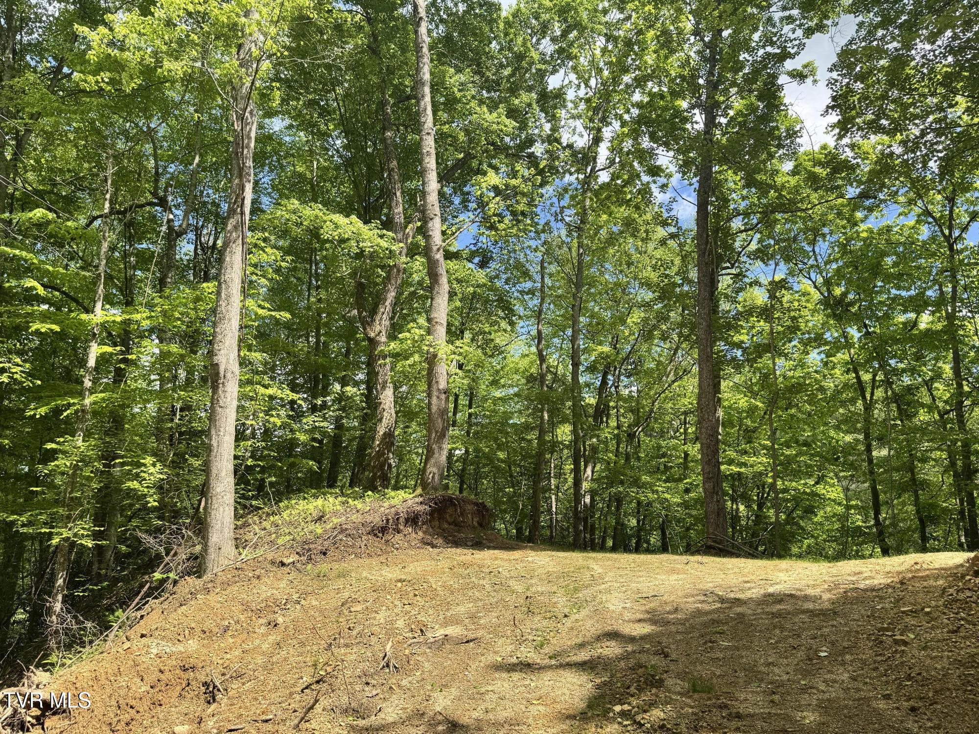 4090 Old Asheville Highway, Flag Pond, Tennessee image 13