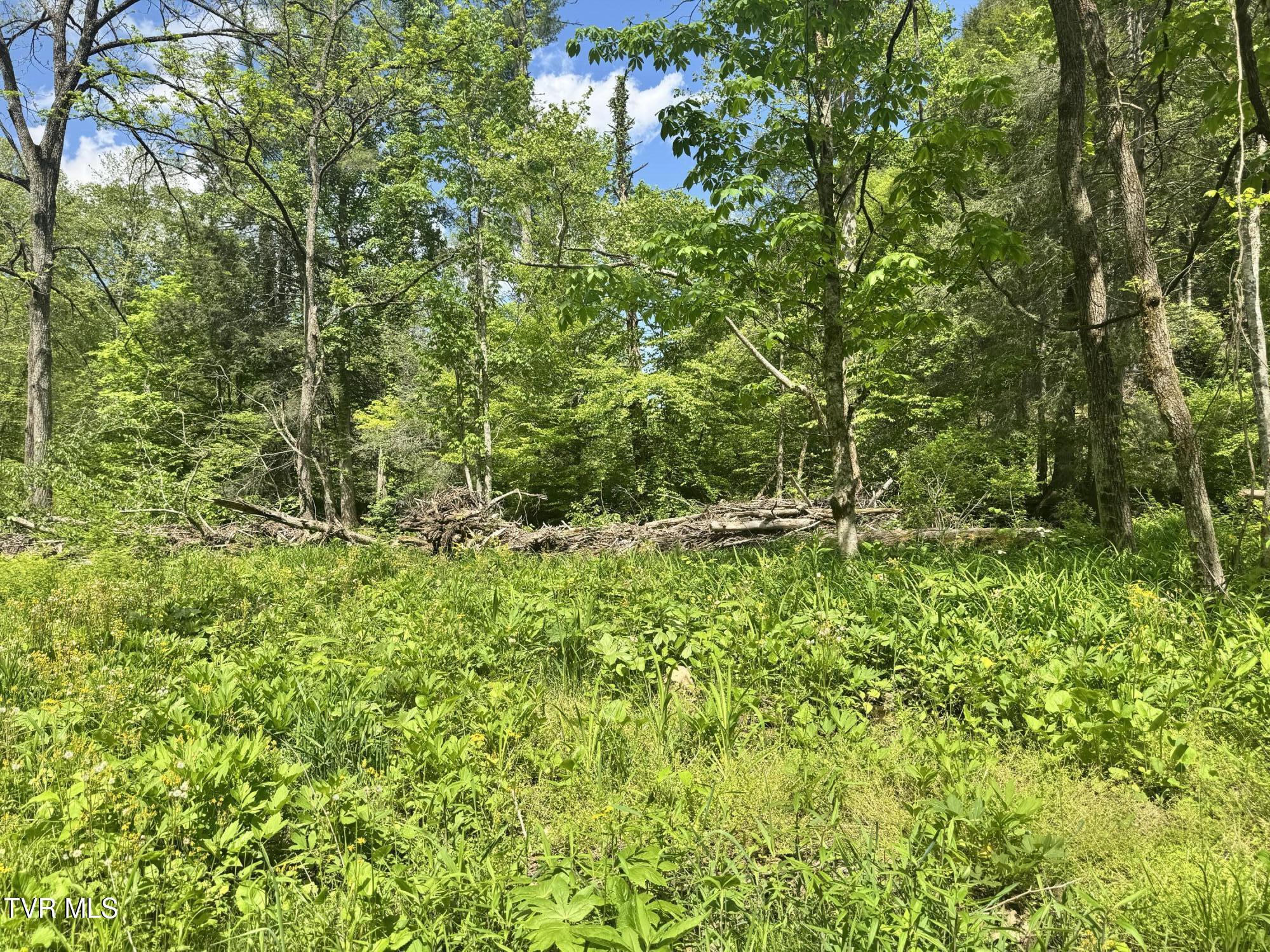 4090 Old Asheville Highway, Flag Pond, Tennessee image 37