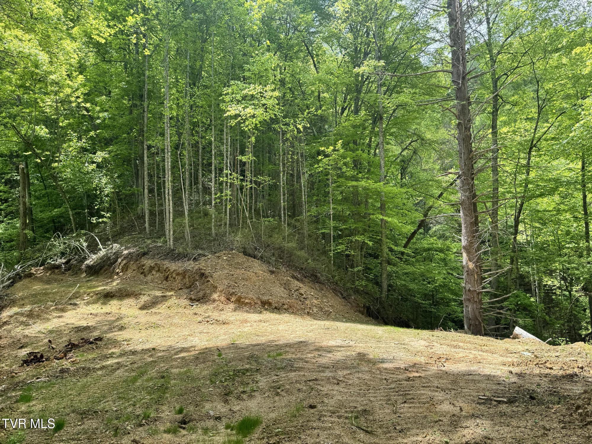 4090 Old Asheville Highway, Flag Pond, Tennessee image 14