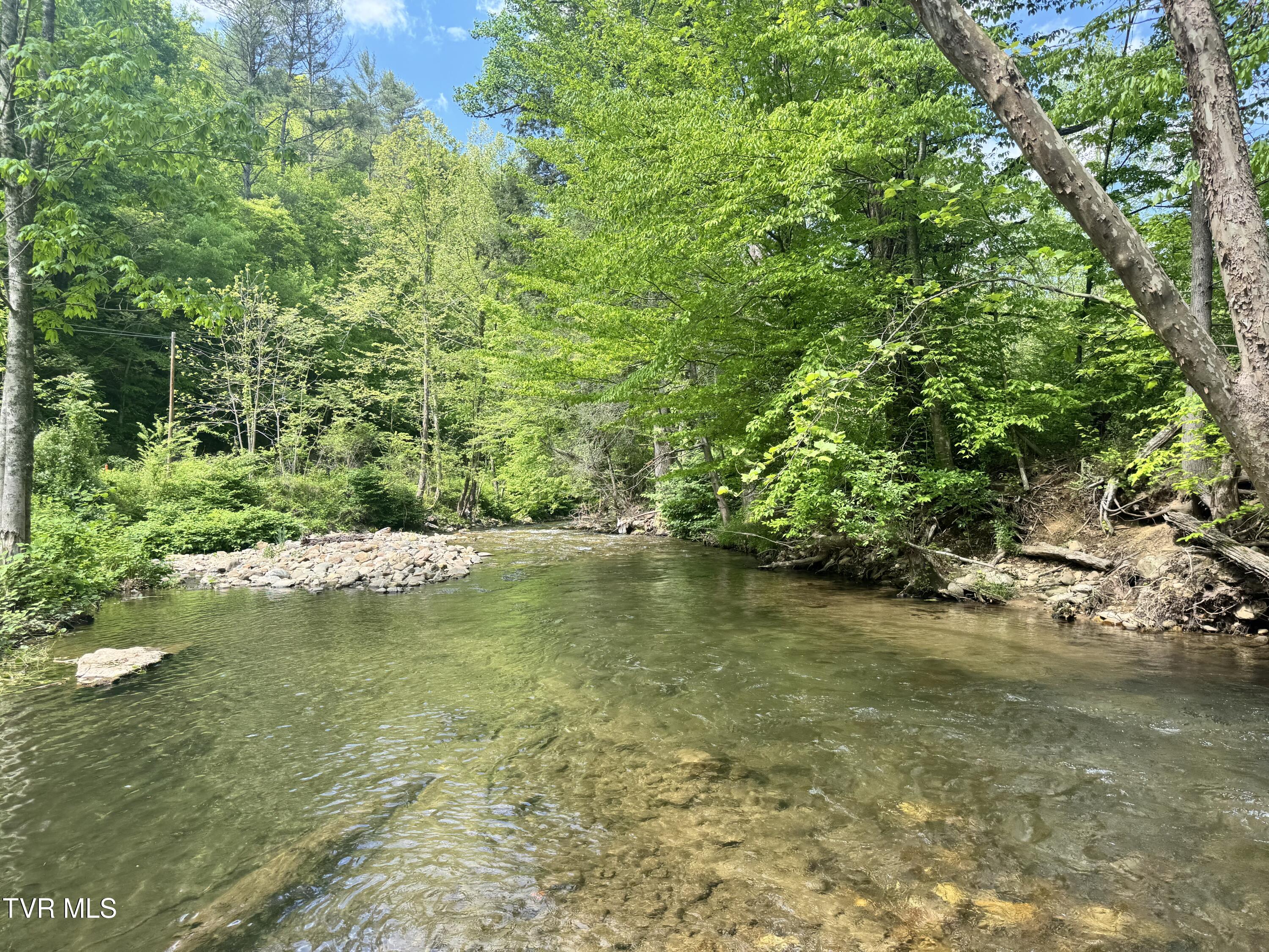 4090 Old Asheville Highway, Flag Pond, Tennessee image 39