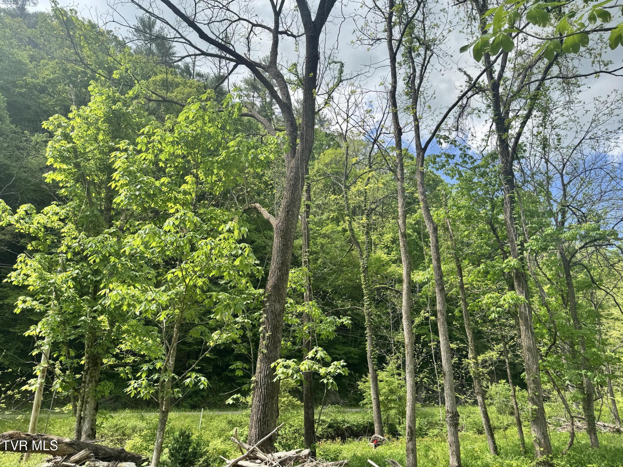 4090 Old Asheville Highway, Flag Pond, Tennessee image 38
