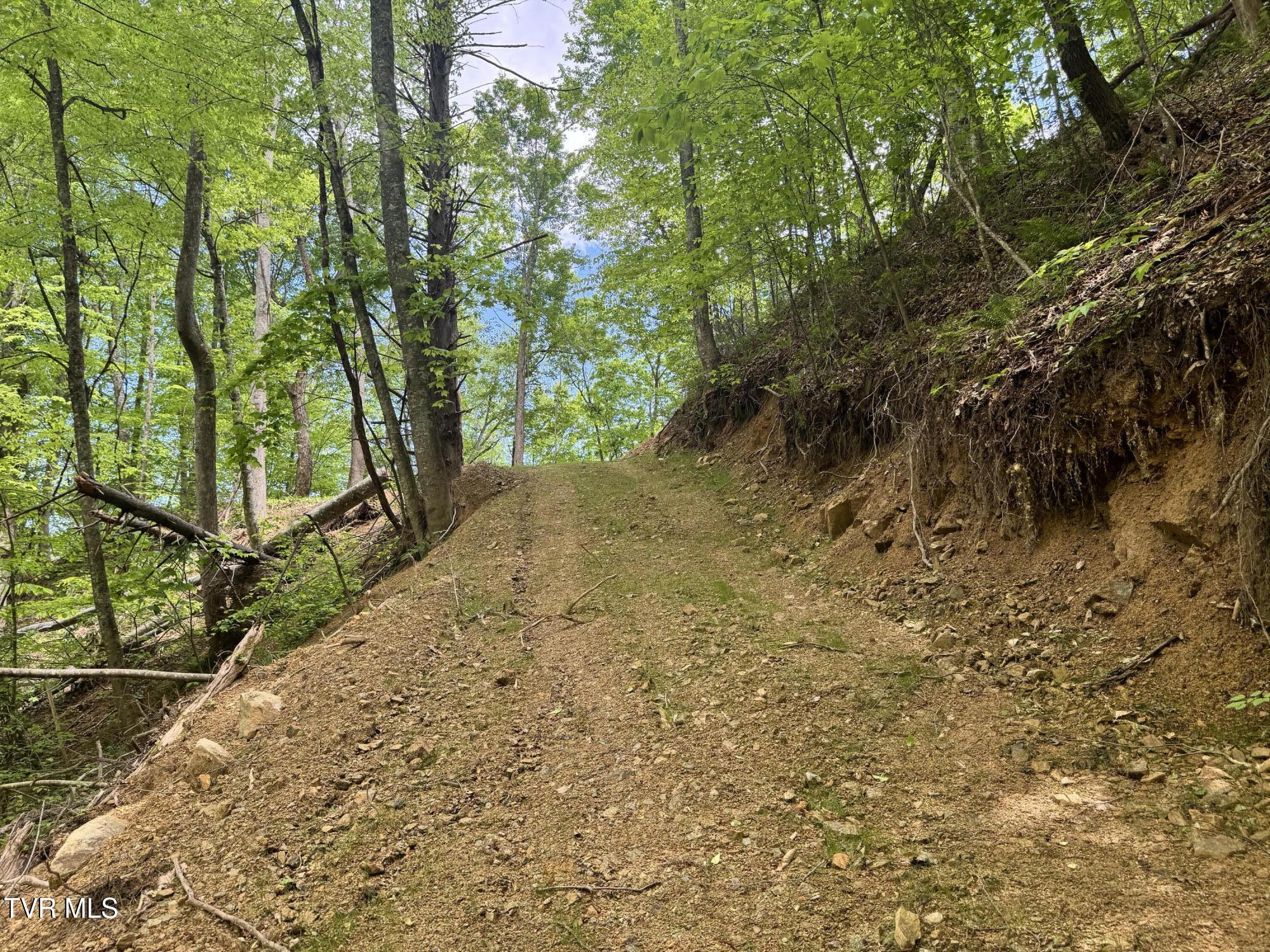 4090 Old Asheville Highway, Flag Pond, Tennessee image 12