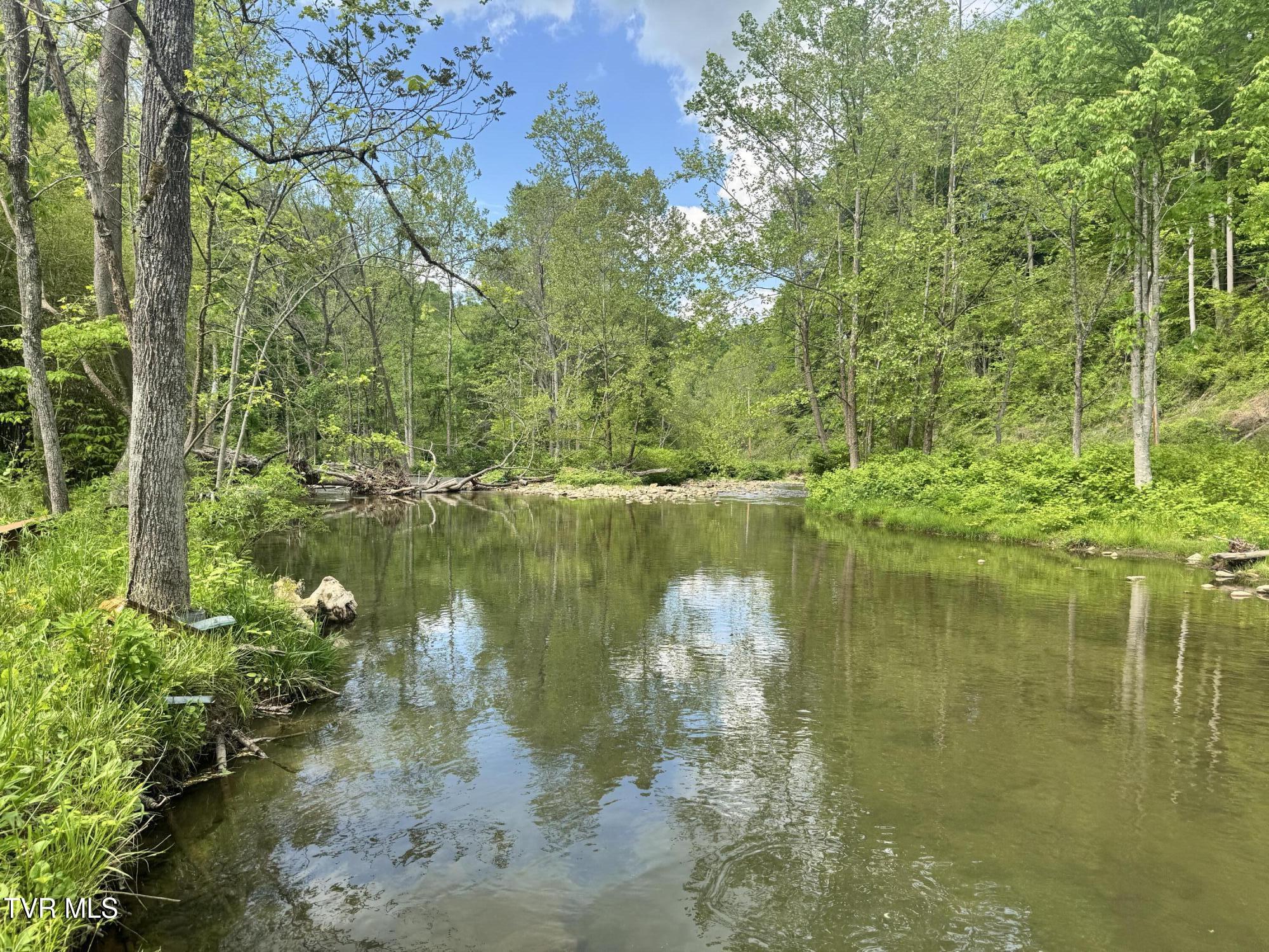 4090 Old Asheville Highway, Flag Pond, Tennessee image 43