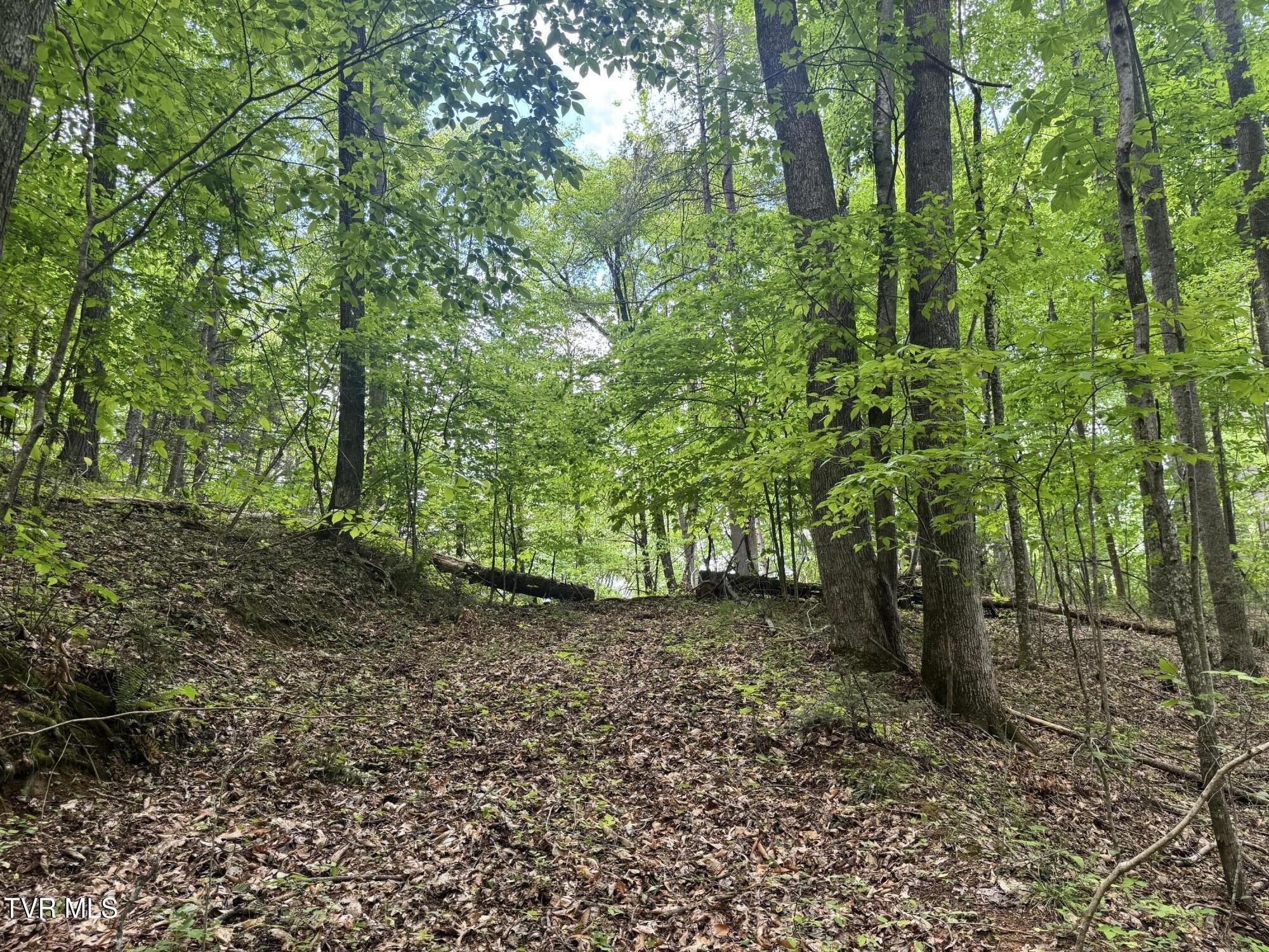 4090 Old Asheville Highway, Flag Pond, Tennessee image 6
