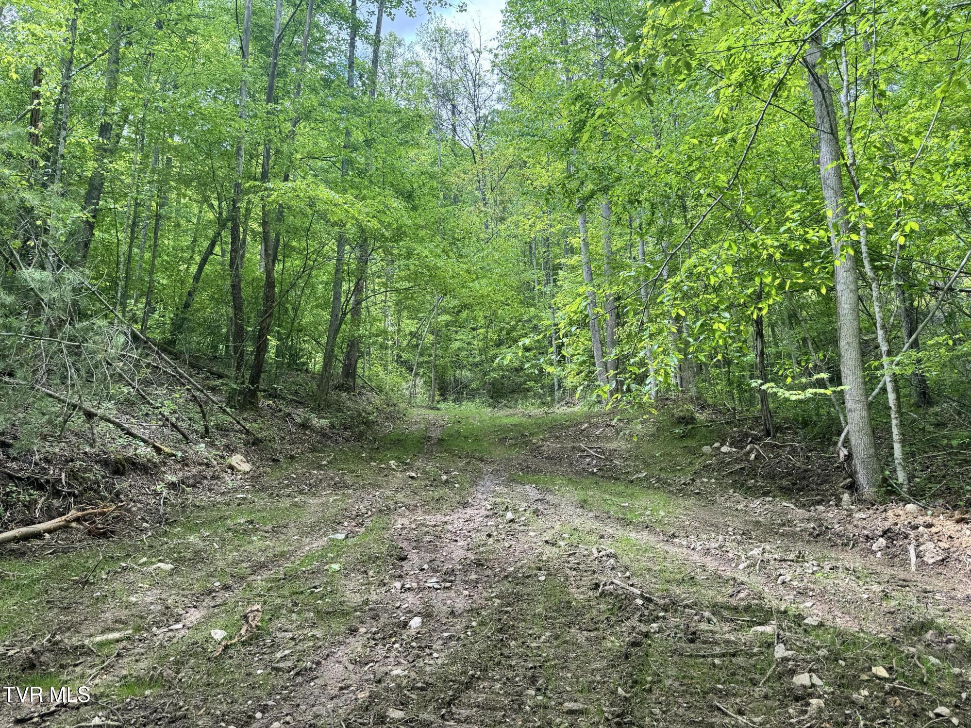 4090 Old Asheville Highway, Flag Pond, Tennessee image 8