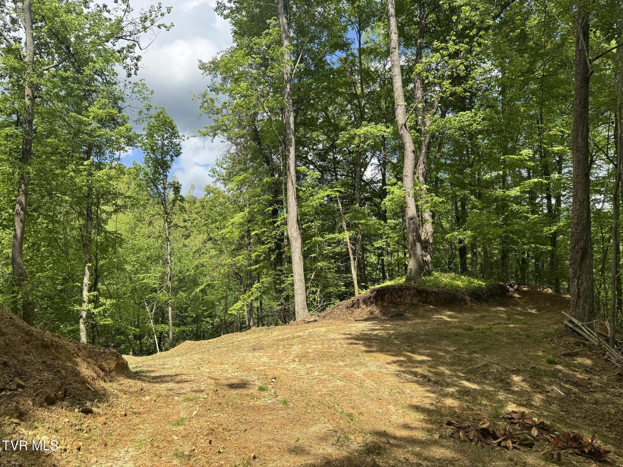 4090 Old Asheville Highway, Flag Pond, Tennessee image 16