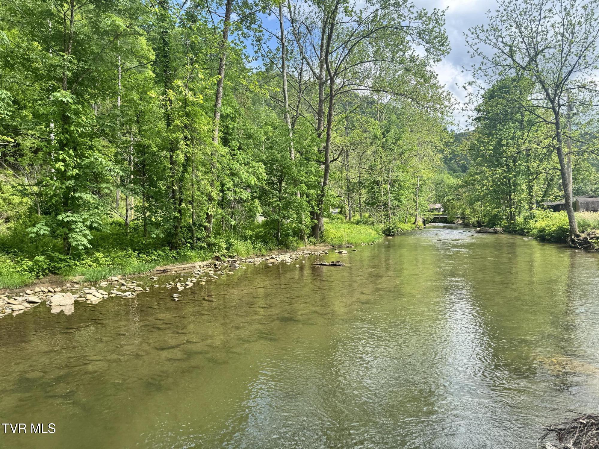 4090 Old Asheville Highway, Flag Pond, Tennessee image 1
