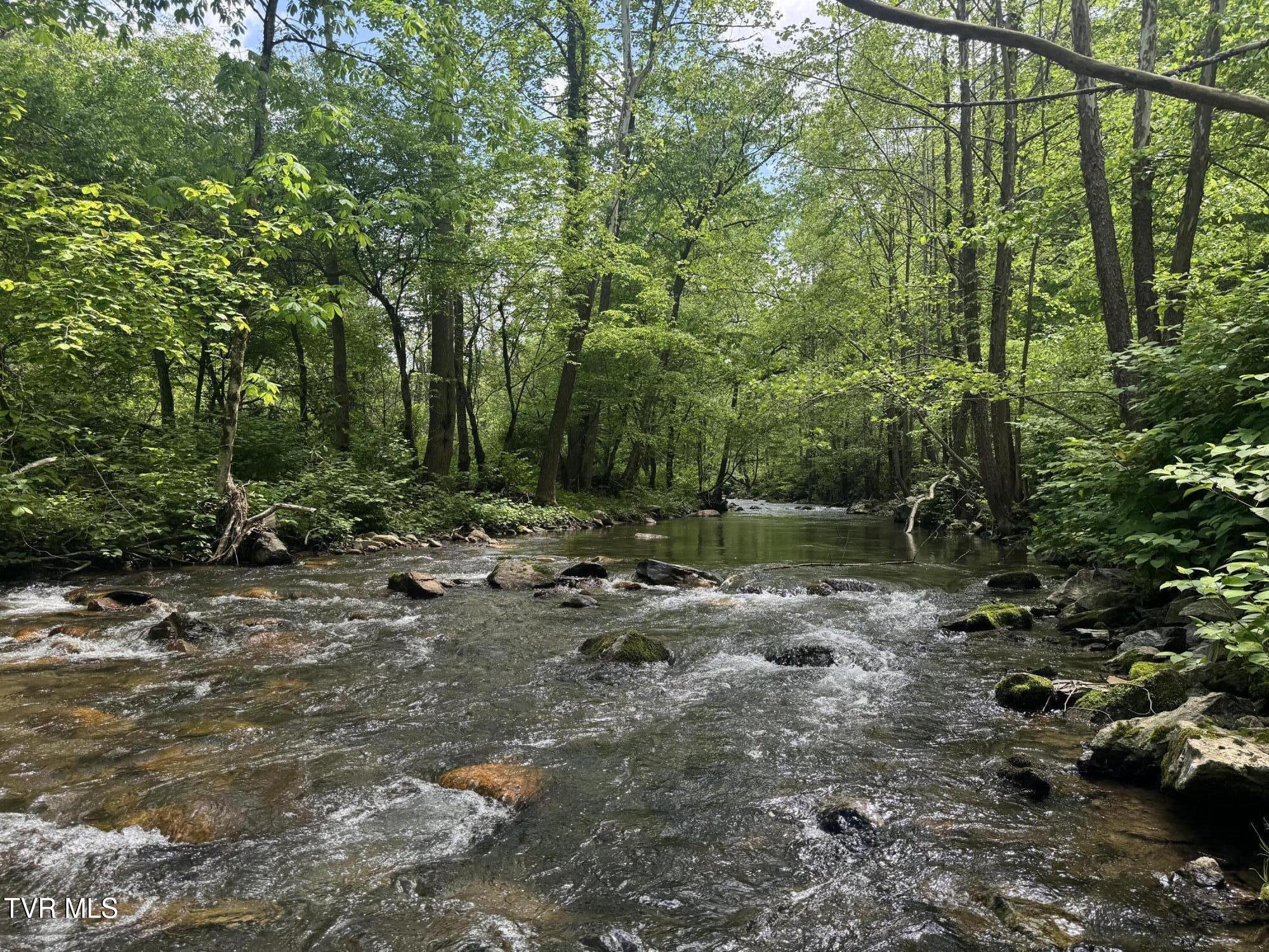 4090 Old Asheville Highway, Flag Pond, Tennessee image 35