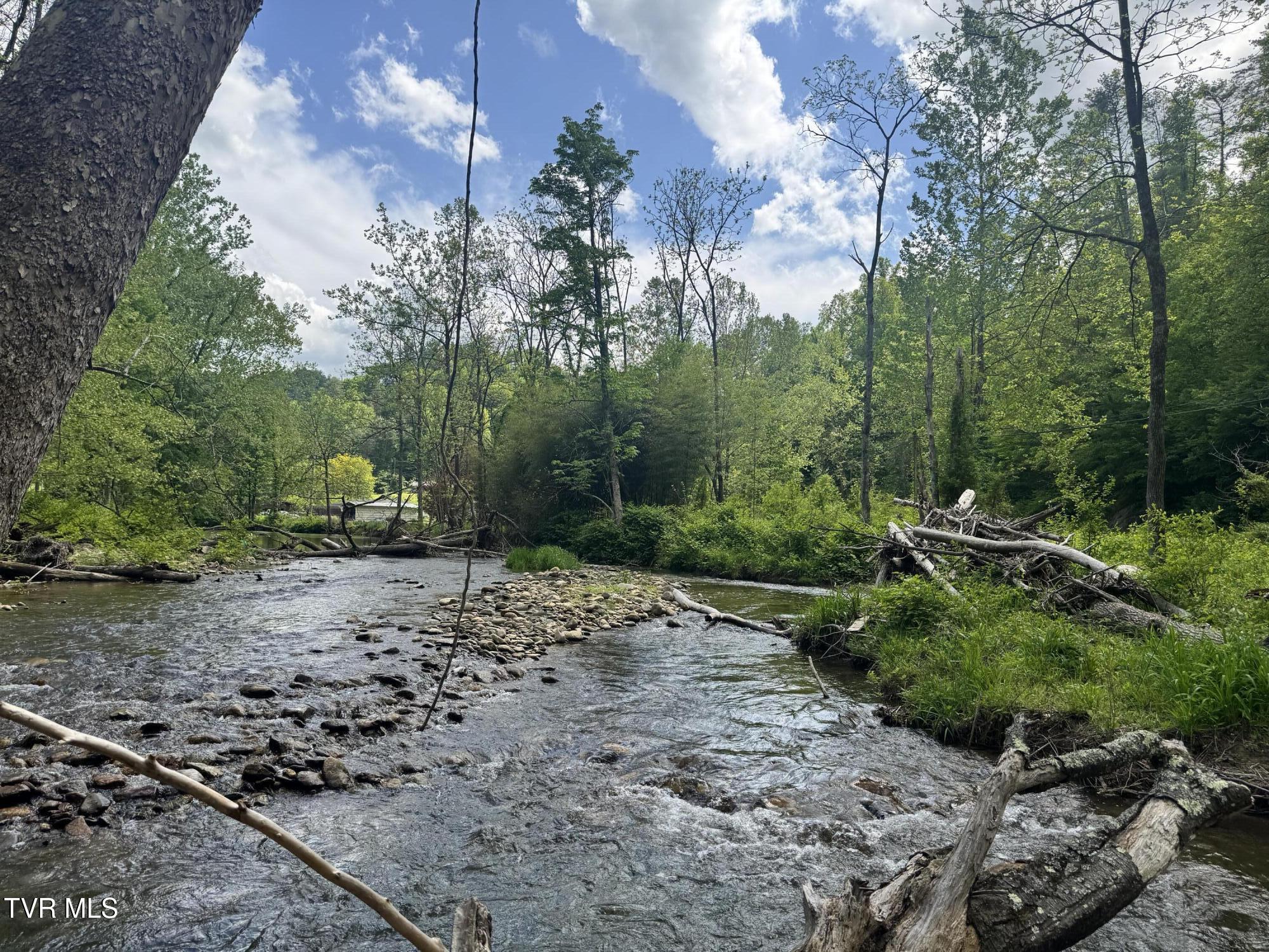 4090 Old Asheville Highway, Flag Pond, Tennessee image 36