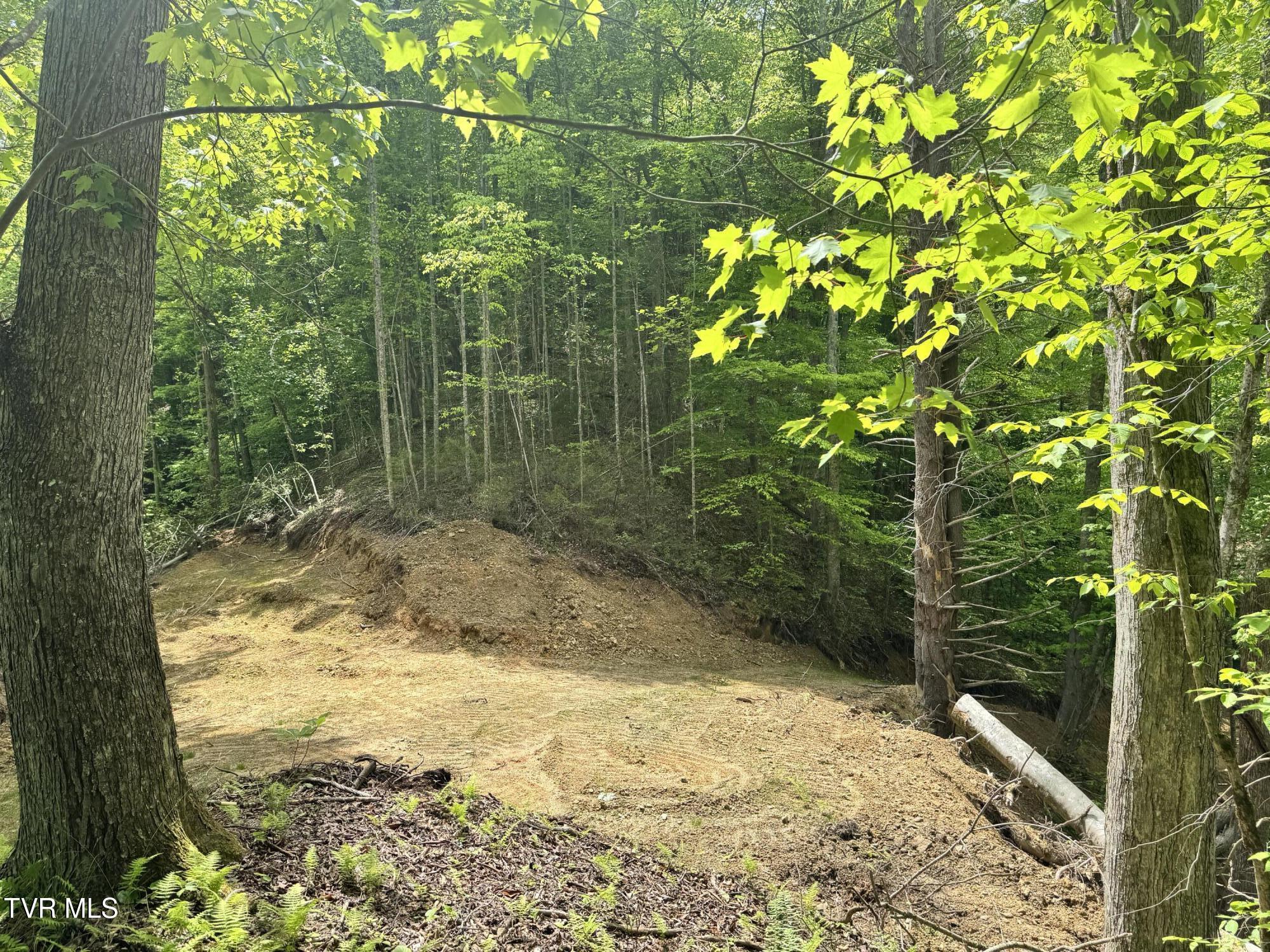 4090 Old Asheville Highway, Flag Pond, Tennessee image 15