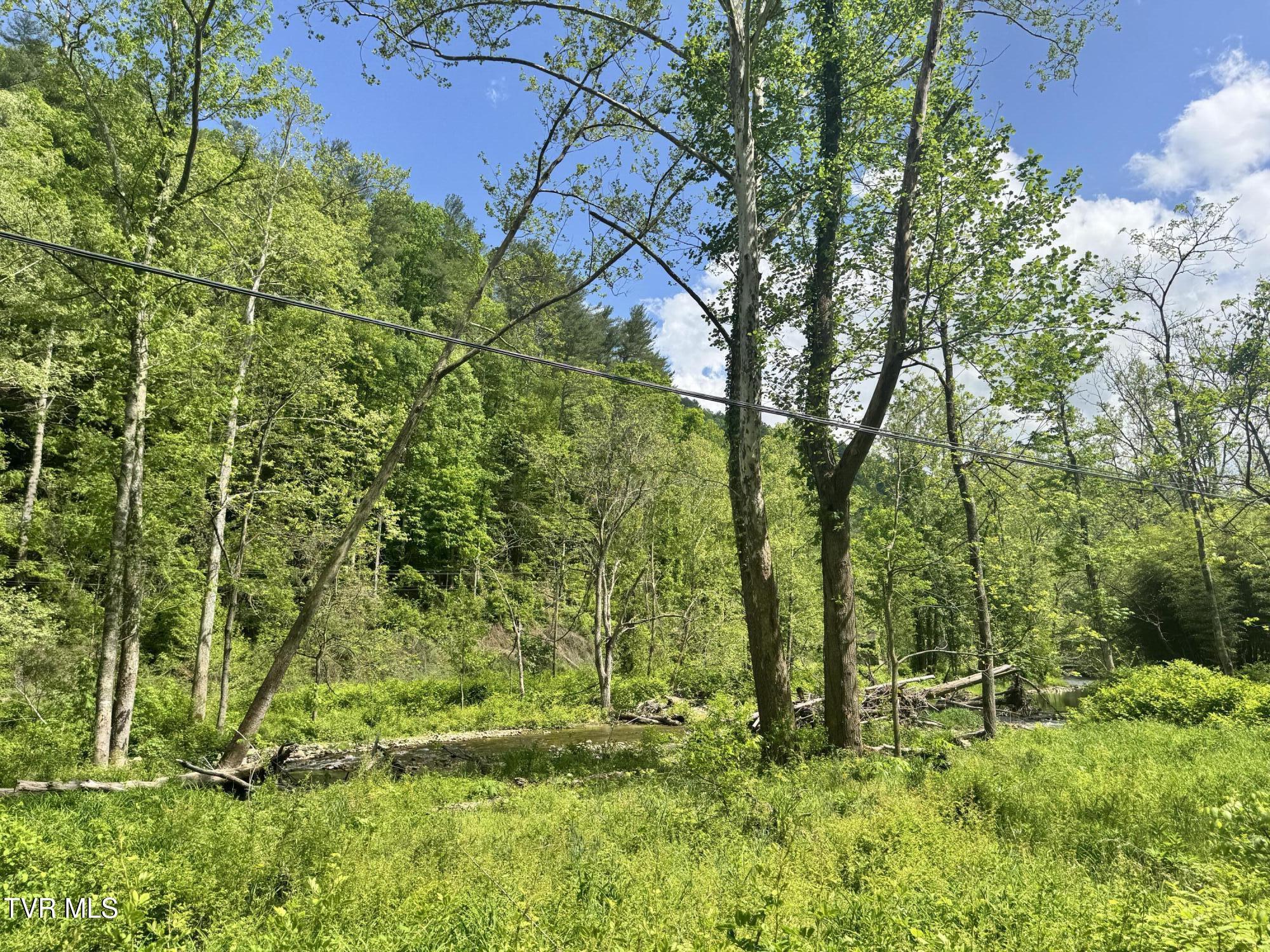 4090 Old Asheville Highway, Flag Pond, Tennessee image 41