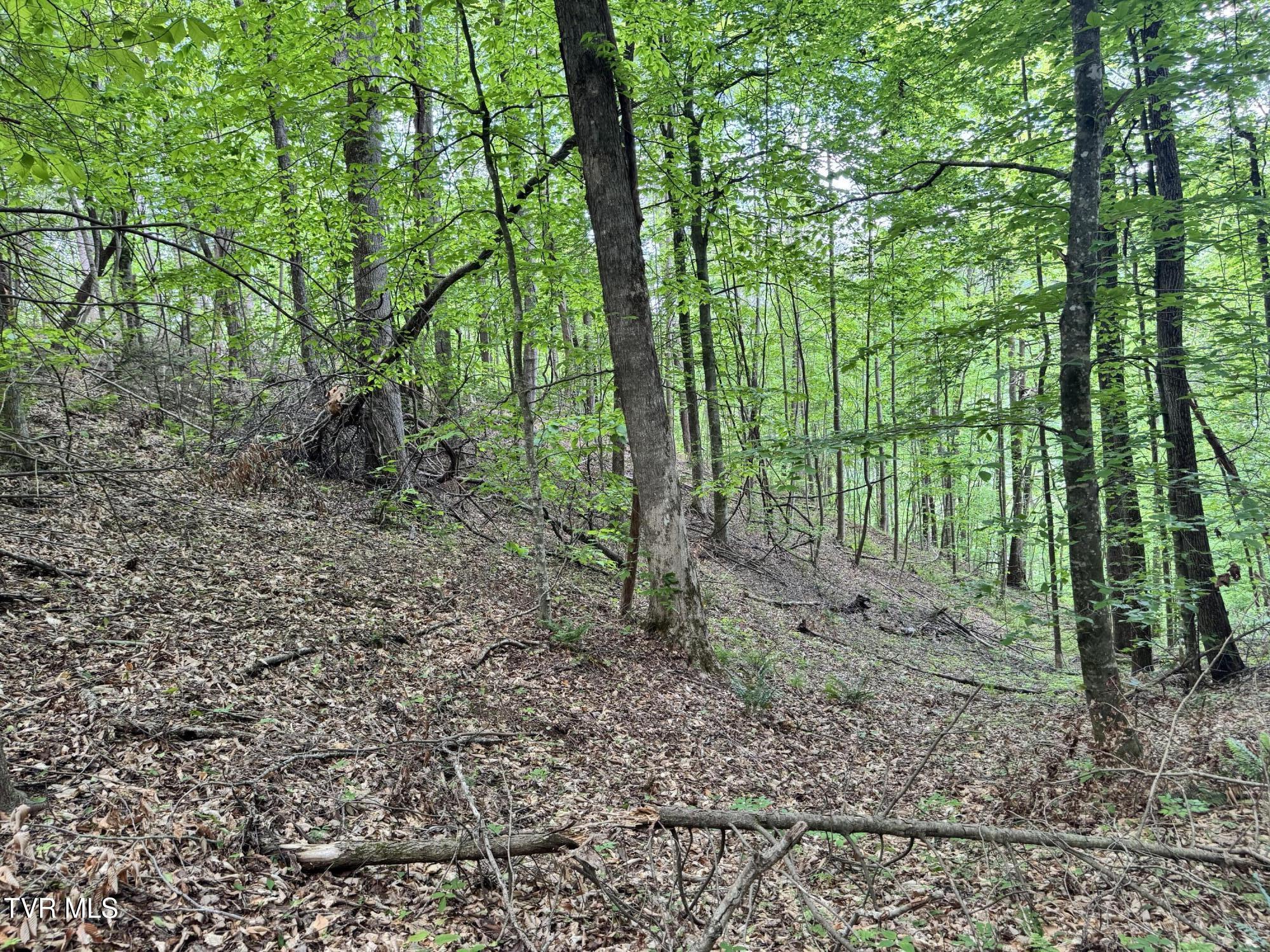 4090 Old Asheville Highway, Flag Pond, Tennessee image 25