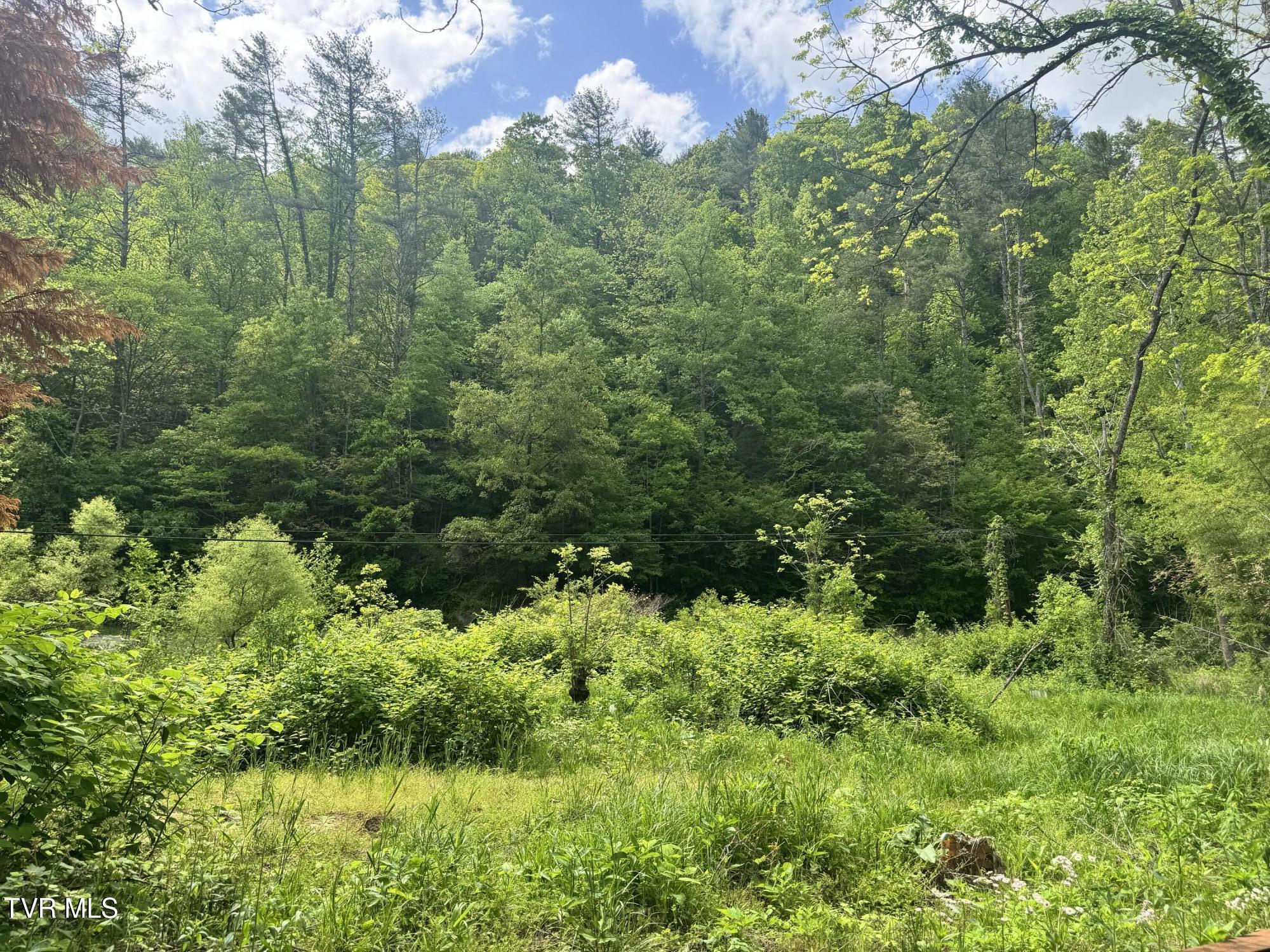 4090 Old Asheville Highway, Flag Pond, Tennessee image 44