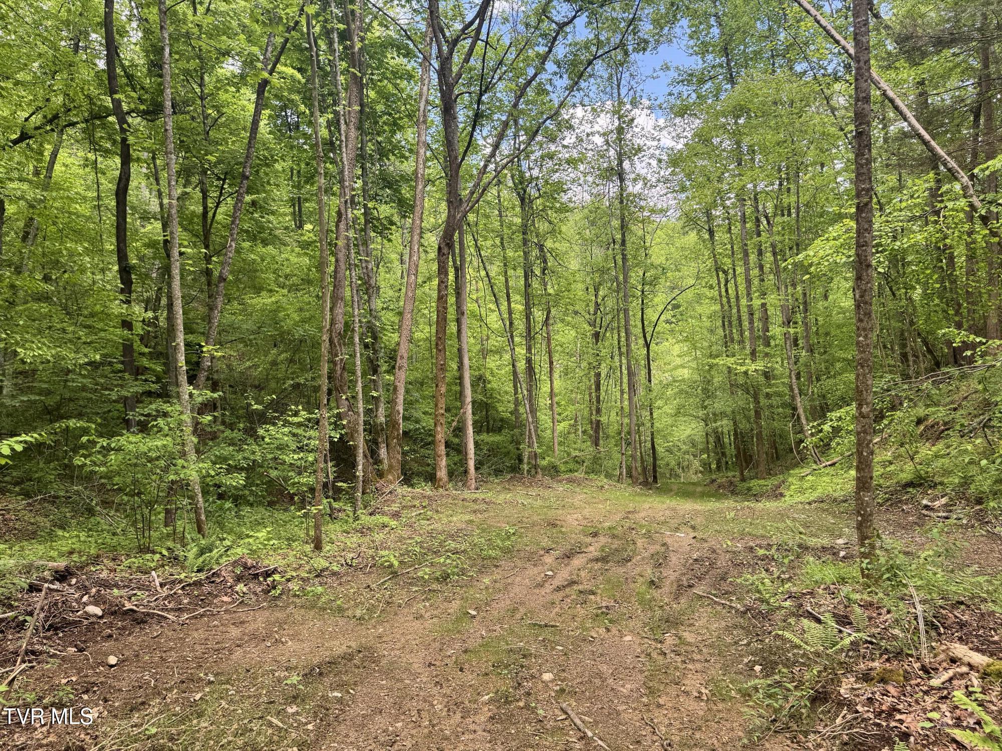 4090 Old Asheville Highway, Flag Pond, Tennessee image 11