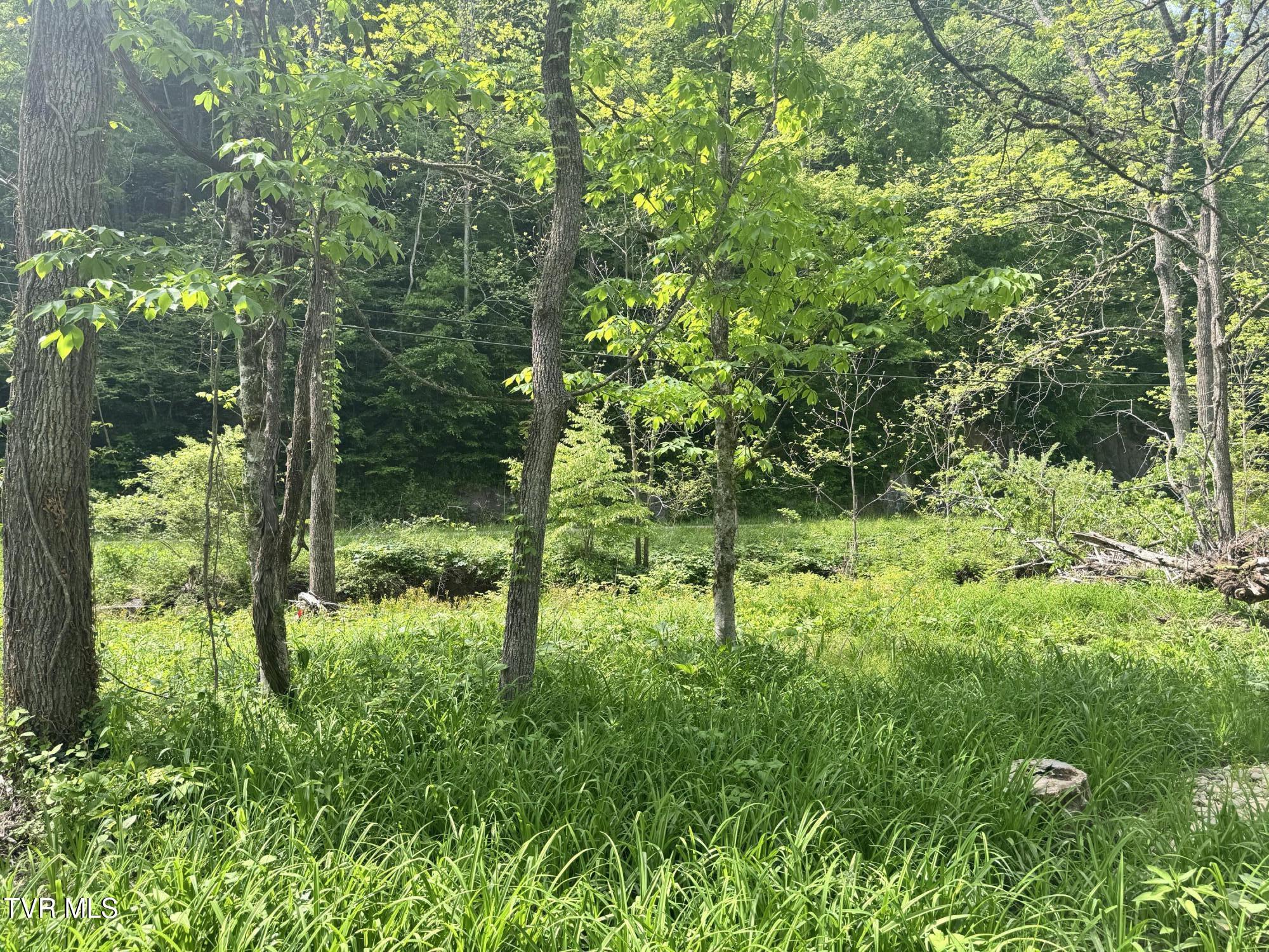 4090 Old Asheville Highway, Flag Pond, Tennessee image 40