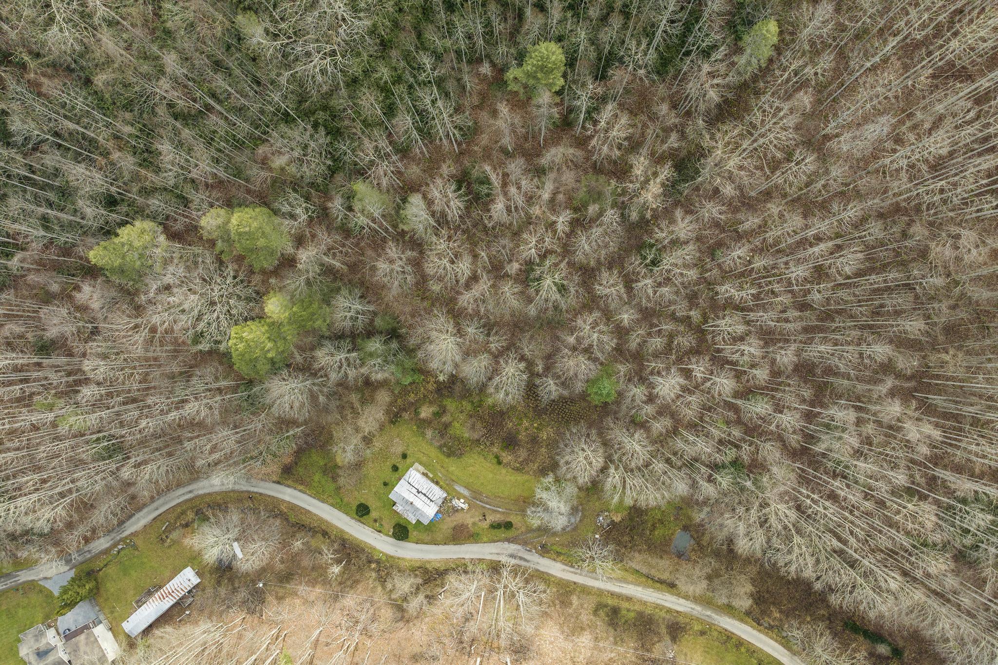 179 Smith Branch Road, Roan Mountain, Tennessee image 16
