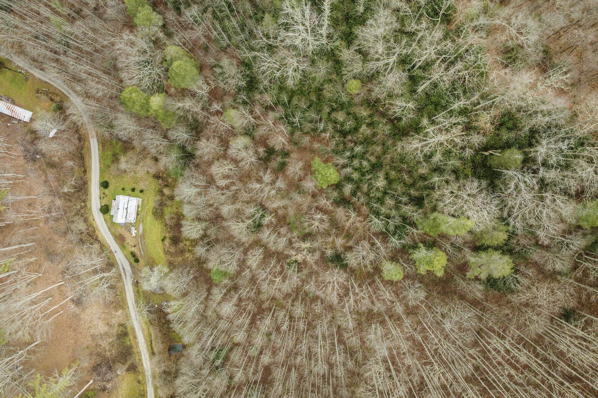 179 Smith Branch Road, Roan Mountain, Tennessee image 3