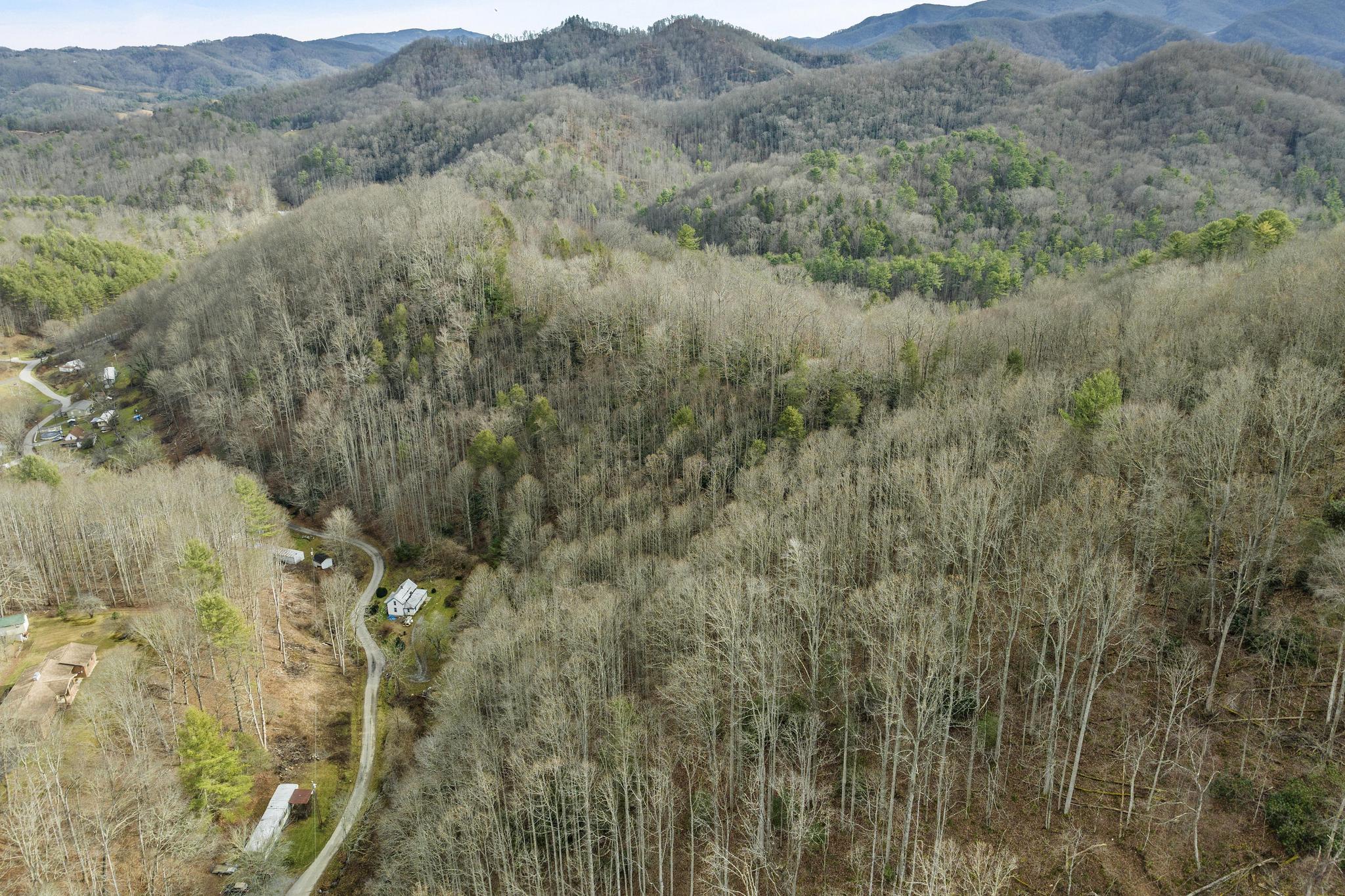 179 Smith Branch Road, Roan Mountain, Tennessee image 2