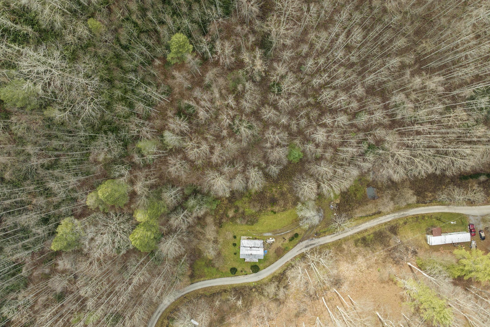 179 Smith Branch Road, Roan Mountain, Tennessee image 17