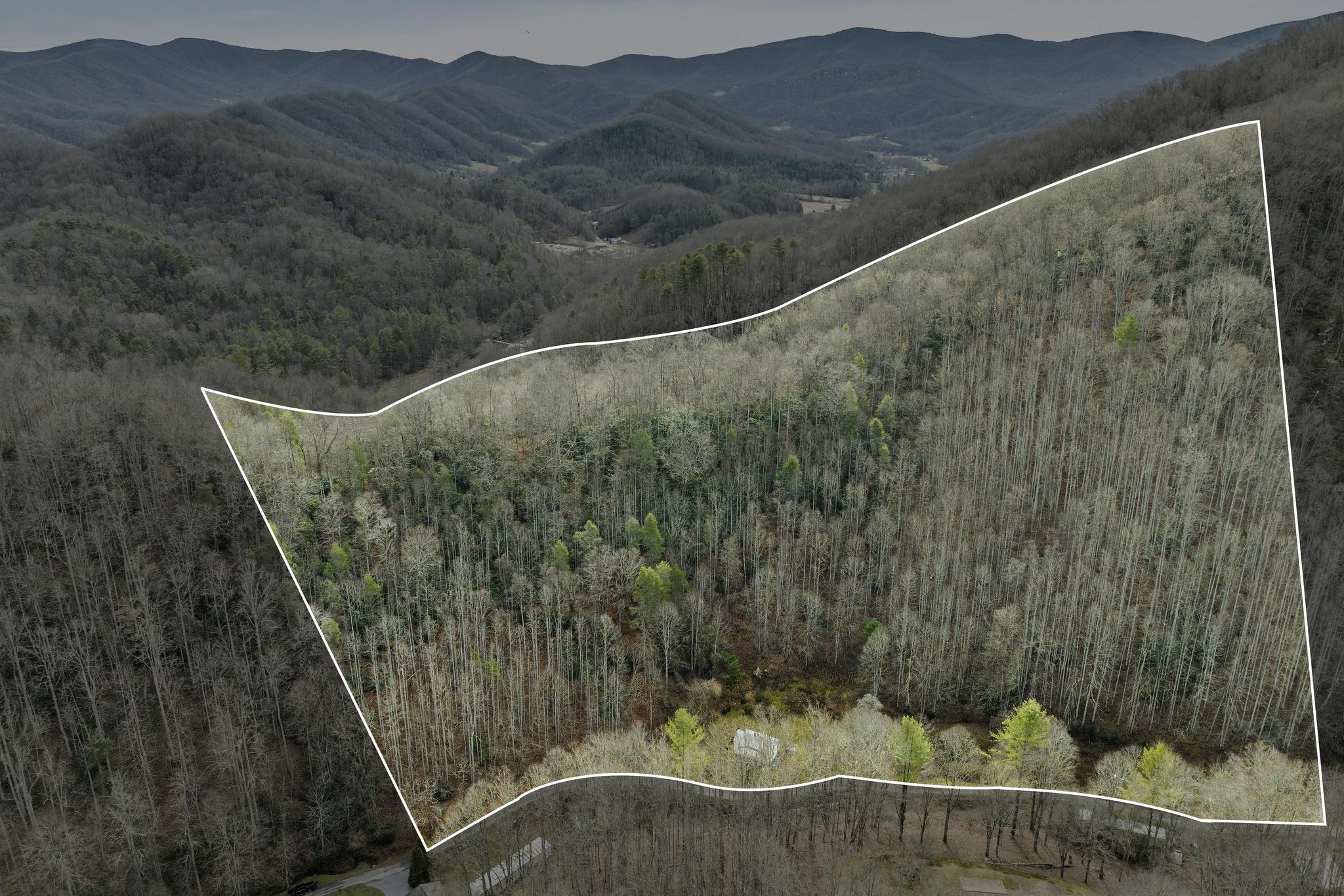 179 Smith Branch Road, Roan Mountain, Tennessee image 1