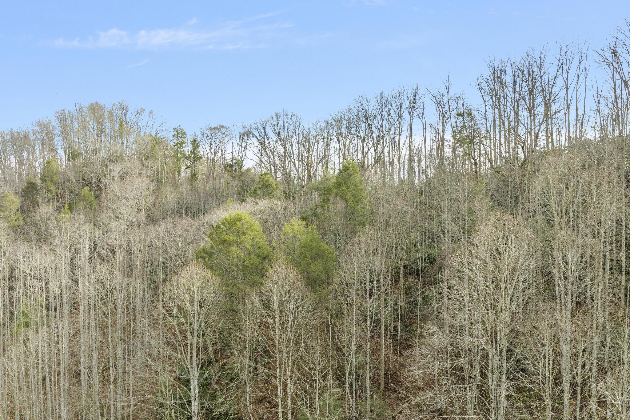179 Smith Branch Road, Roan Mountain, Tennessee image 13