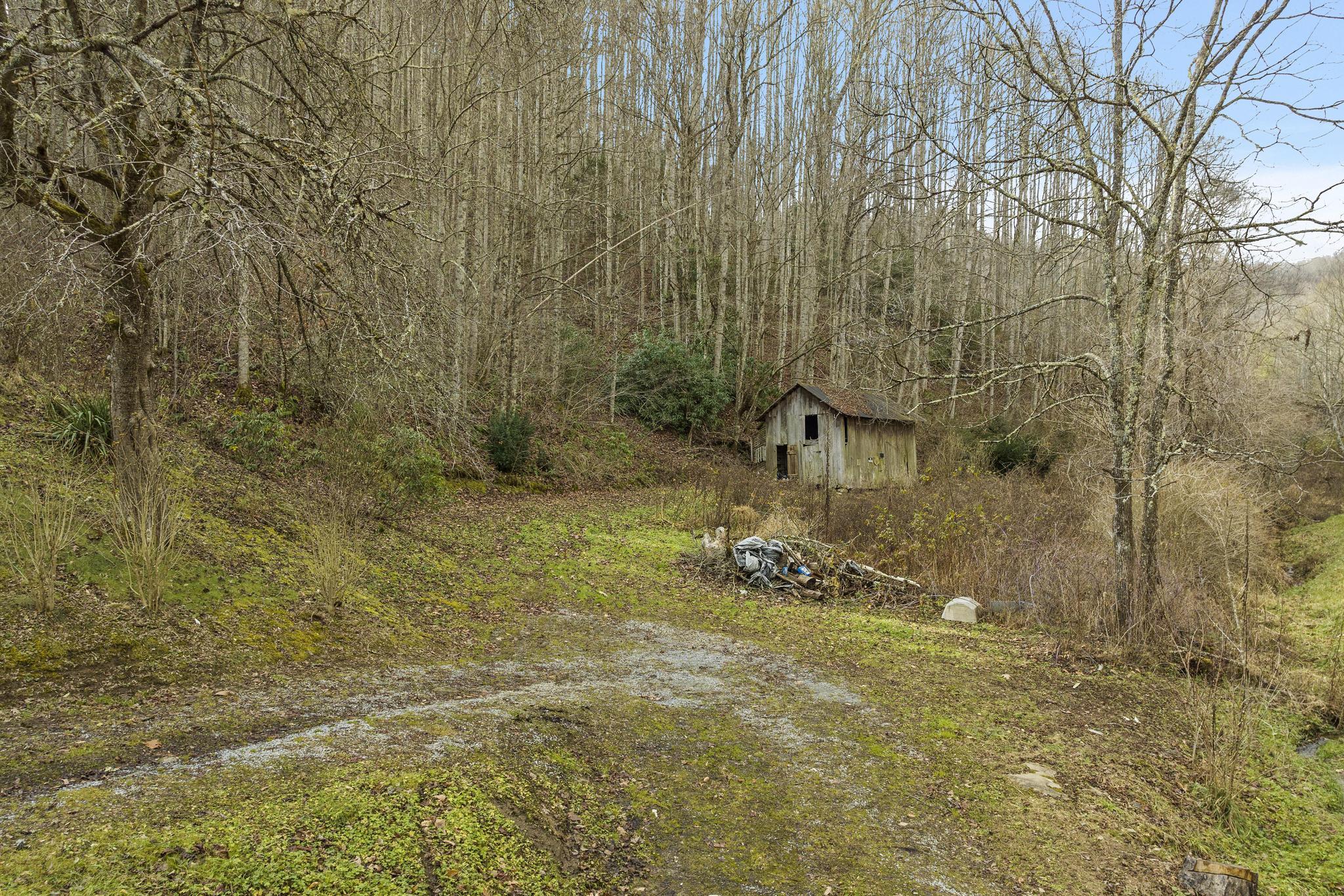 179 Smith Branch Road, Roan Mountain, Tennessee image 9
