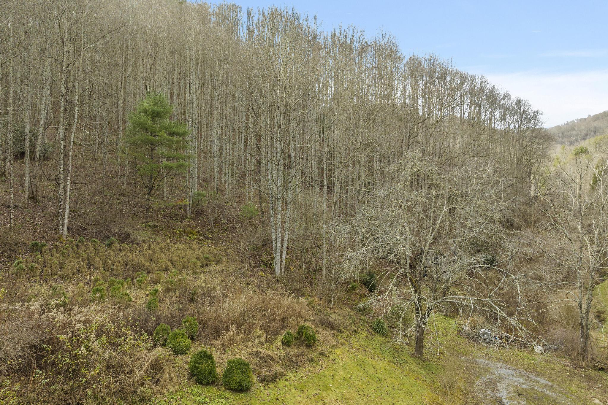 179 Smith Branch Road, Roan Mountain, Tennessee image 8