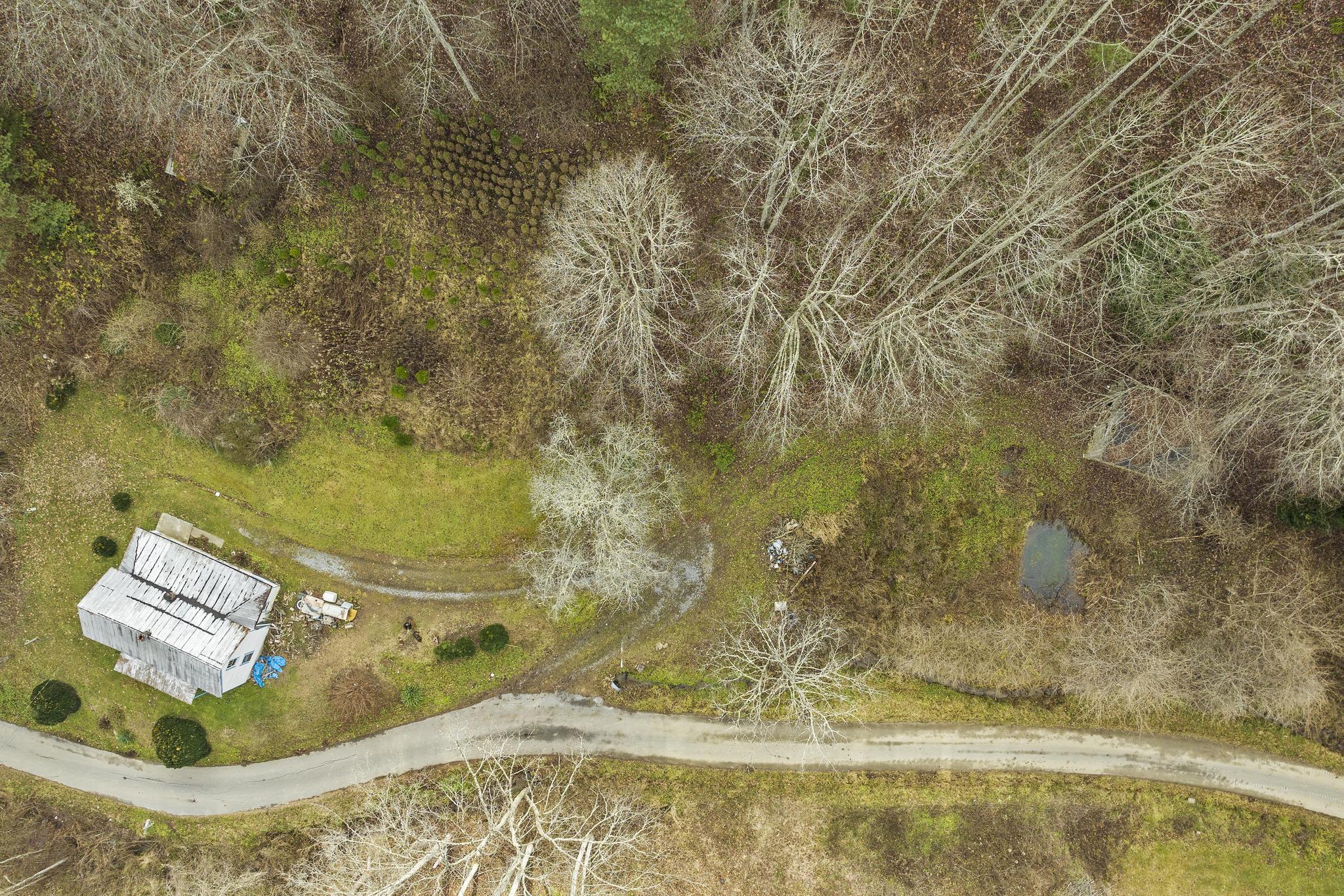 179 Smith Branch Road, Roan Mountain, Tennessee image 12