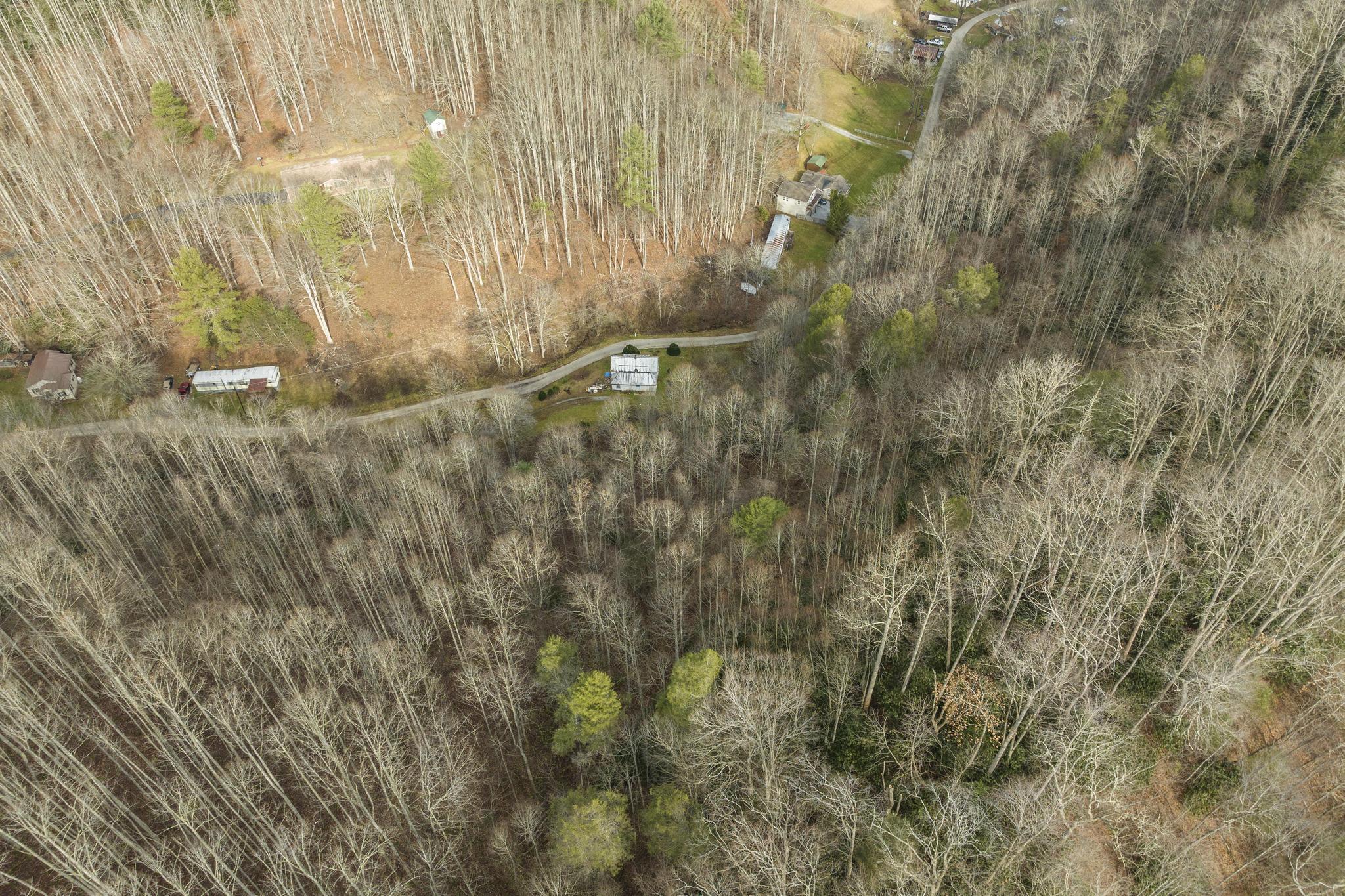 179 Smith Branch Road, Roan Mountain, Tennessee image 19
