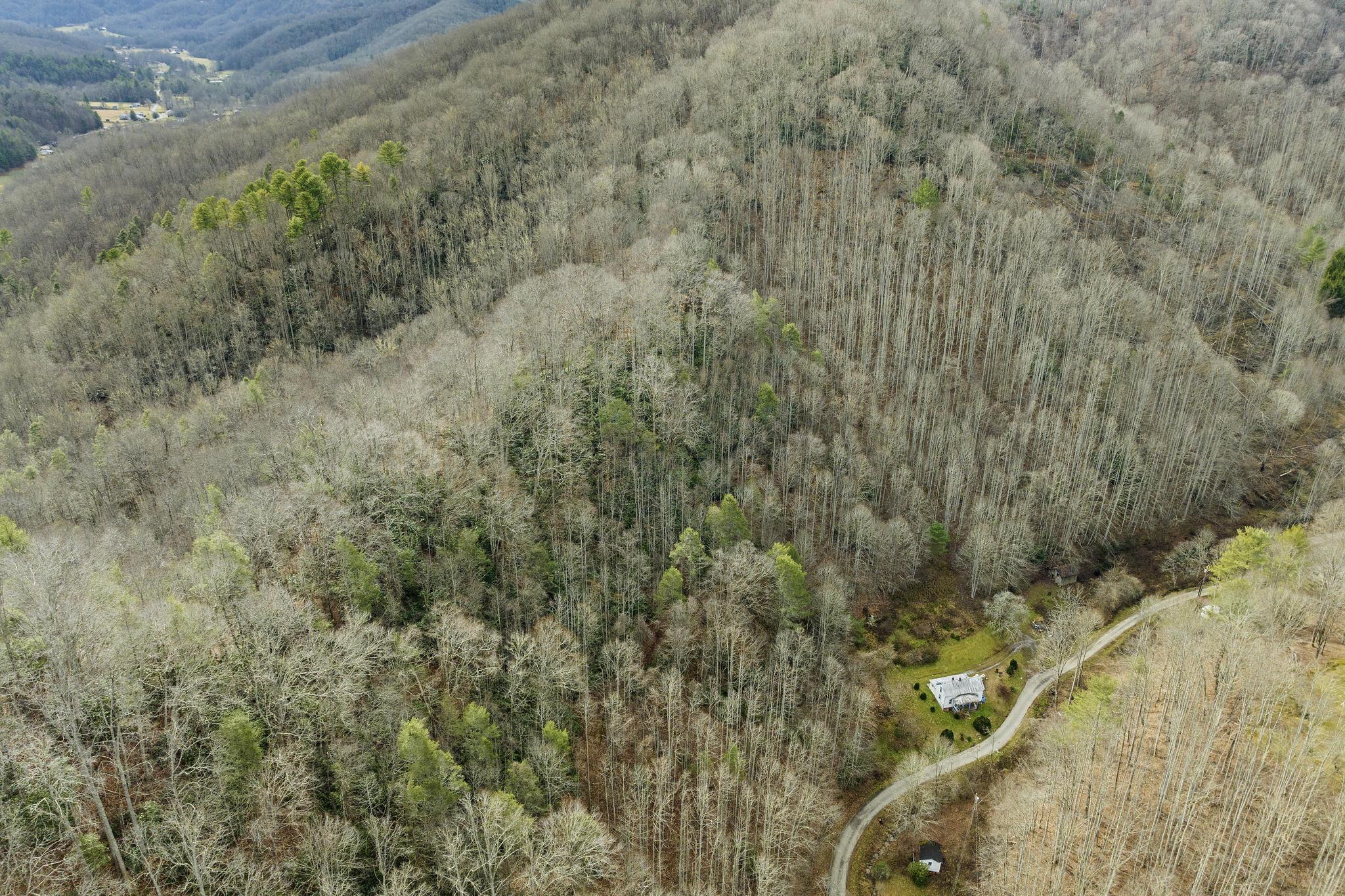 179 Smith Branch Road, Roan Mountain, Tennessee image 20