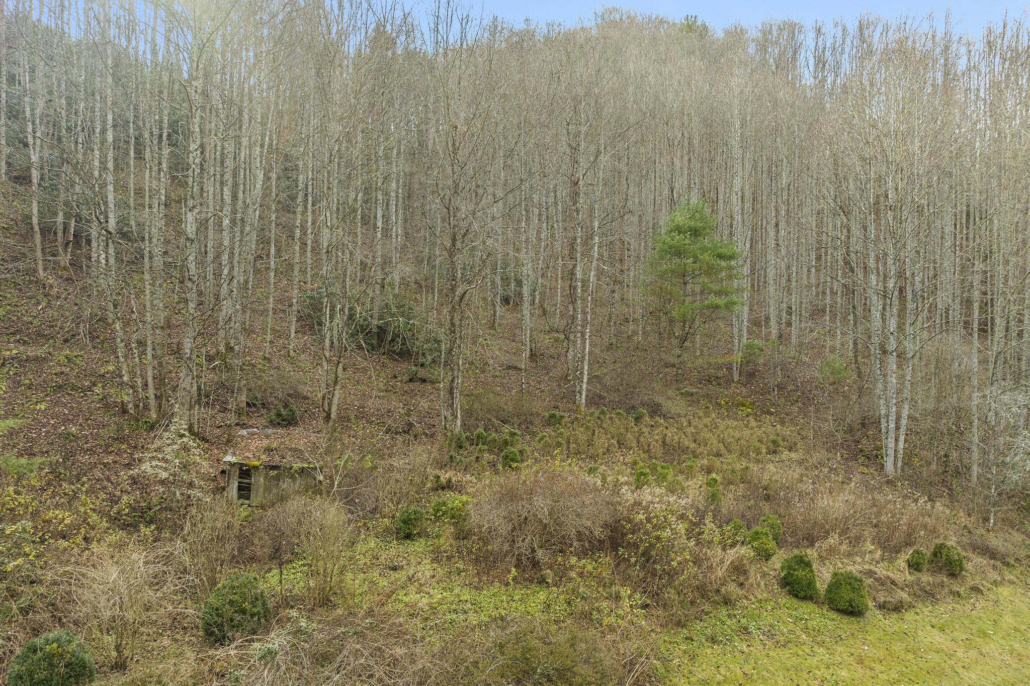 179 Smith Branch Road, Roan Mountain, Tennessee image 7
