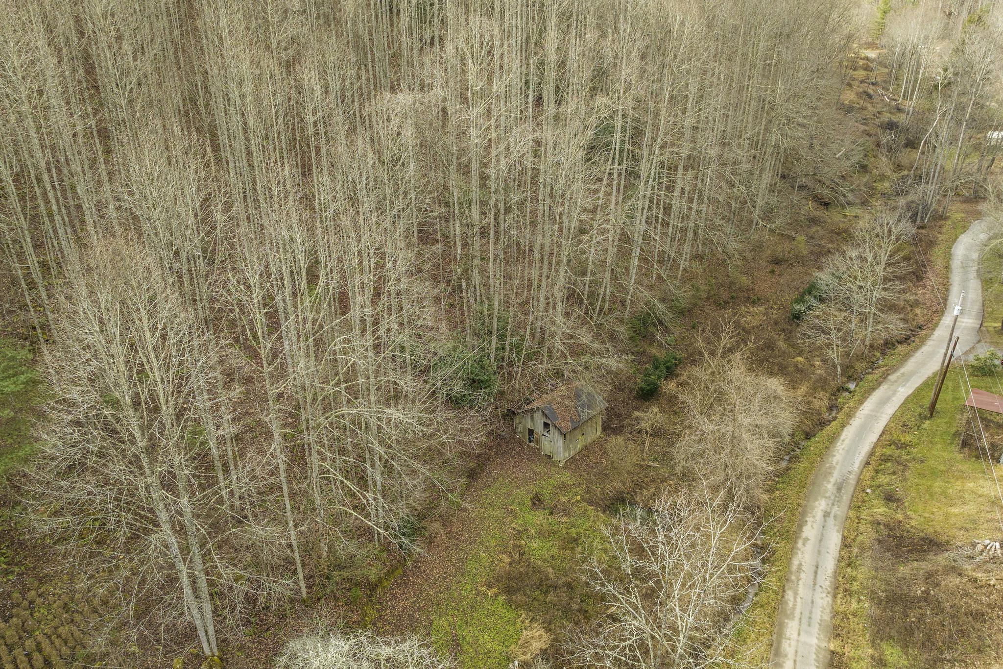 179 Smith Branch Road, Roan Mountain, Tennessee image 5