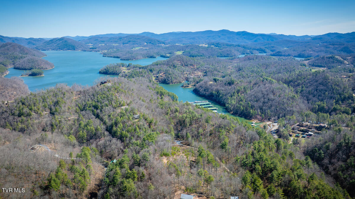 1007 Mount Carmel Drive, Butler, Tennessee image 18
