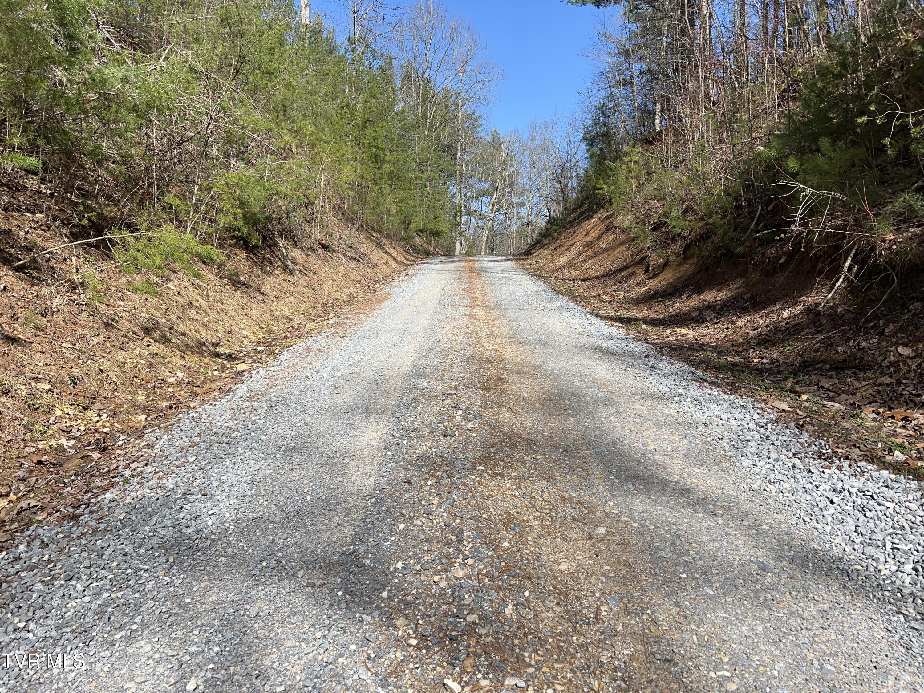 1007 Mount Carmel Drive, Butler, Tennessee image 29