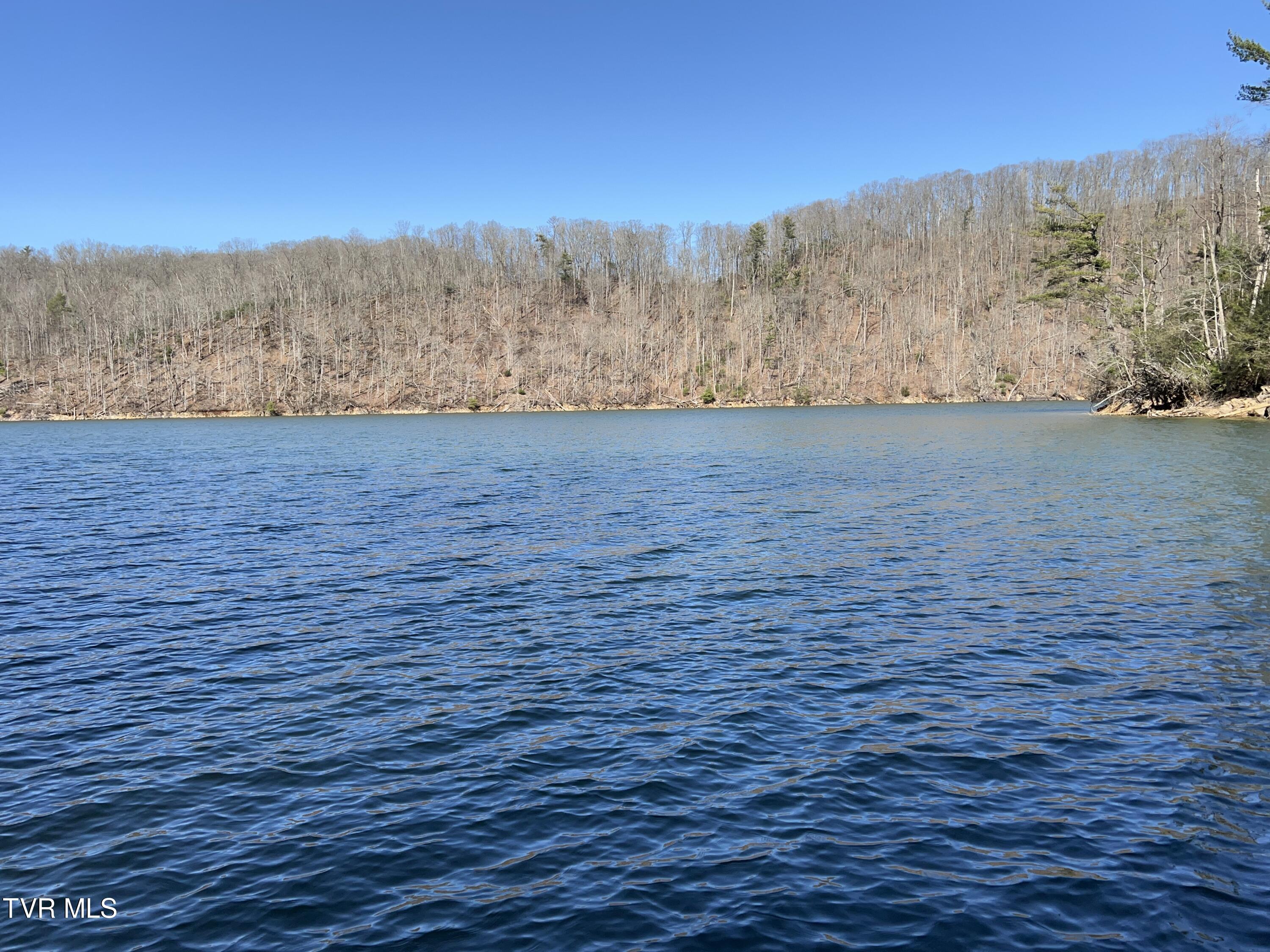 1007 Mount Carmel Drive, Butler, Tennessee image 39