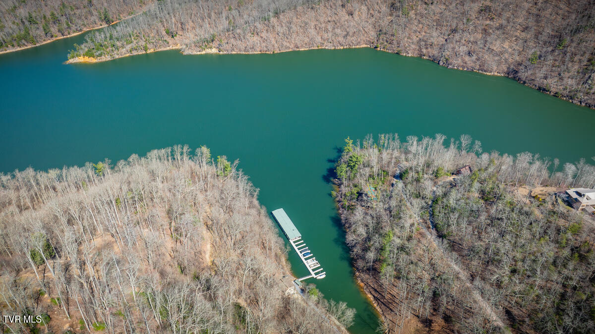1007 Mount Carmel Drive, Butler, Tennessee image 21