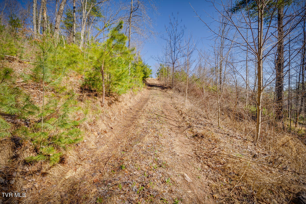 1007 Mount Carmel Drive, Butler, Tennessee image 5