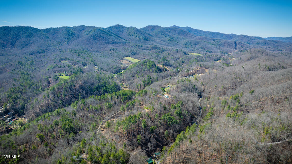 1007 Mount Carmel Drive, Butler, Tennessee image 20