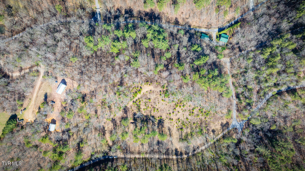 1007 Mount Carmel Drive, Butler, Tennessee image 14