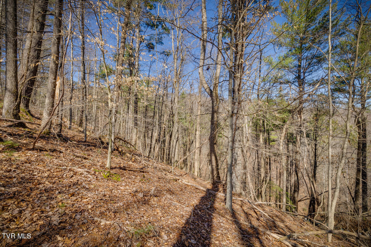1007 Mount Carmel Drive, Butler, Tennessee image 12