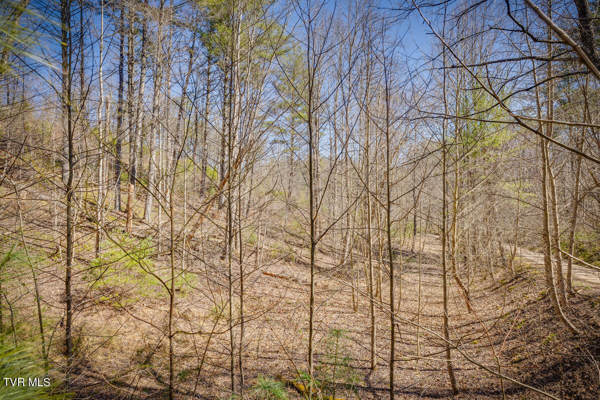 1007 Mount Carmel Drive, Butler, Tennessee image 10