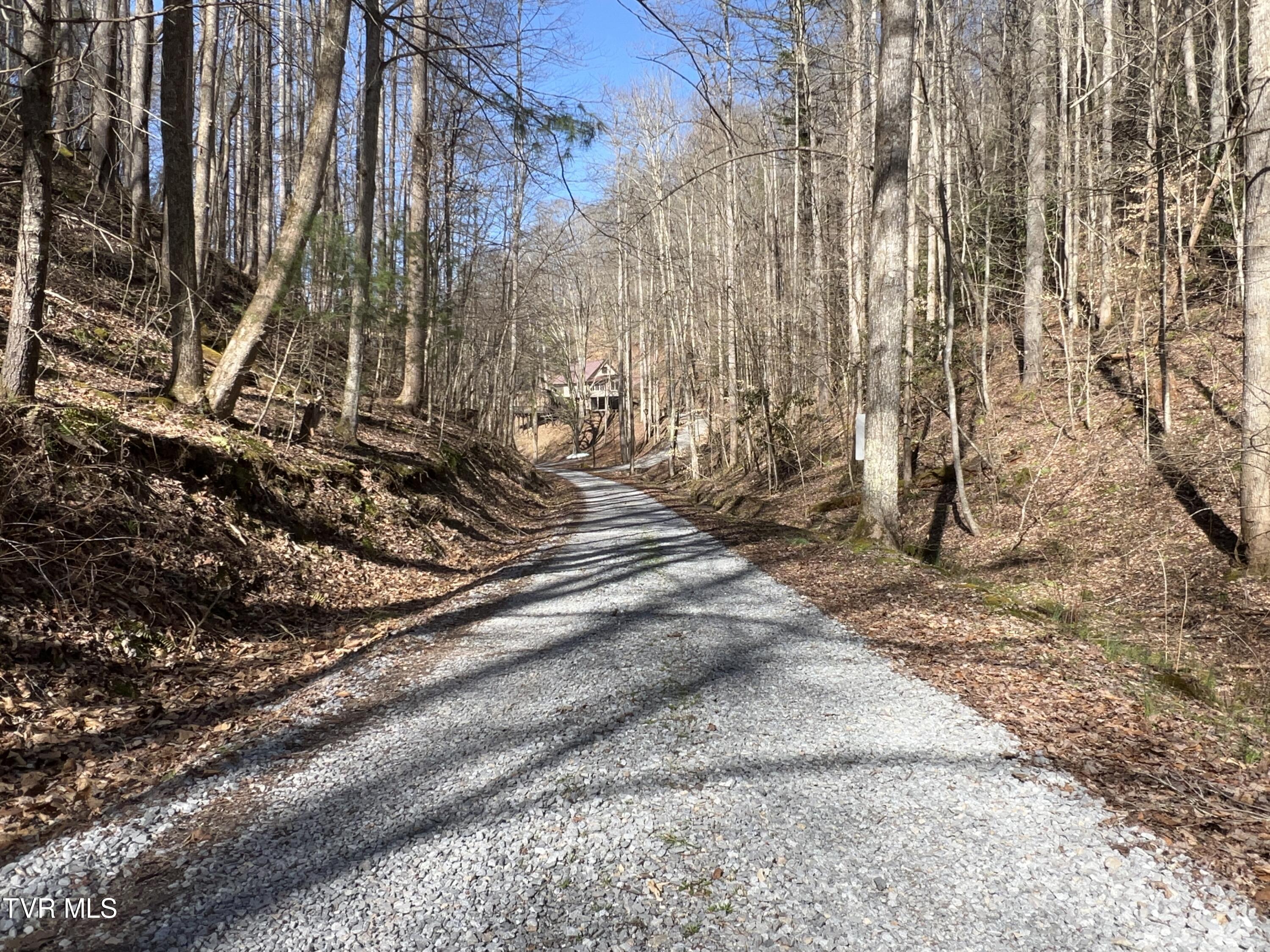 1007 Mount Carmel Drive, Butler, Tennessee image 33