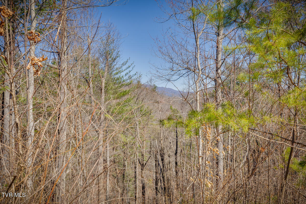 1007 Mount Carmel Drive, Butler, Tennessee image 9