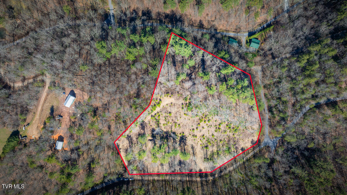 1007 Mount Carmel Drive, Butler, Tennessee image 7